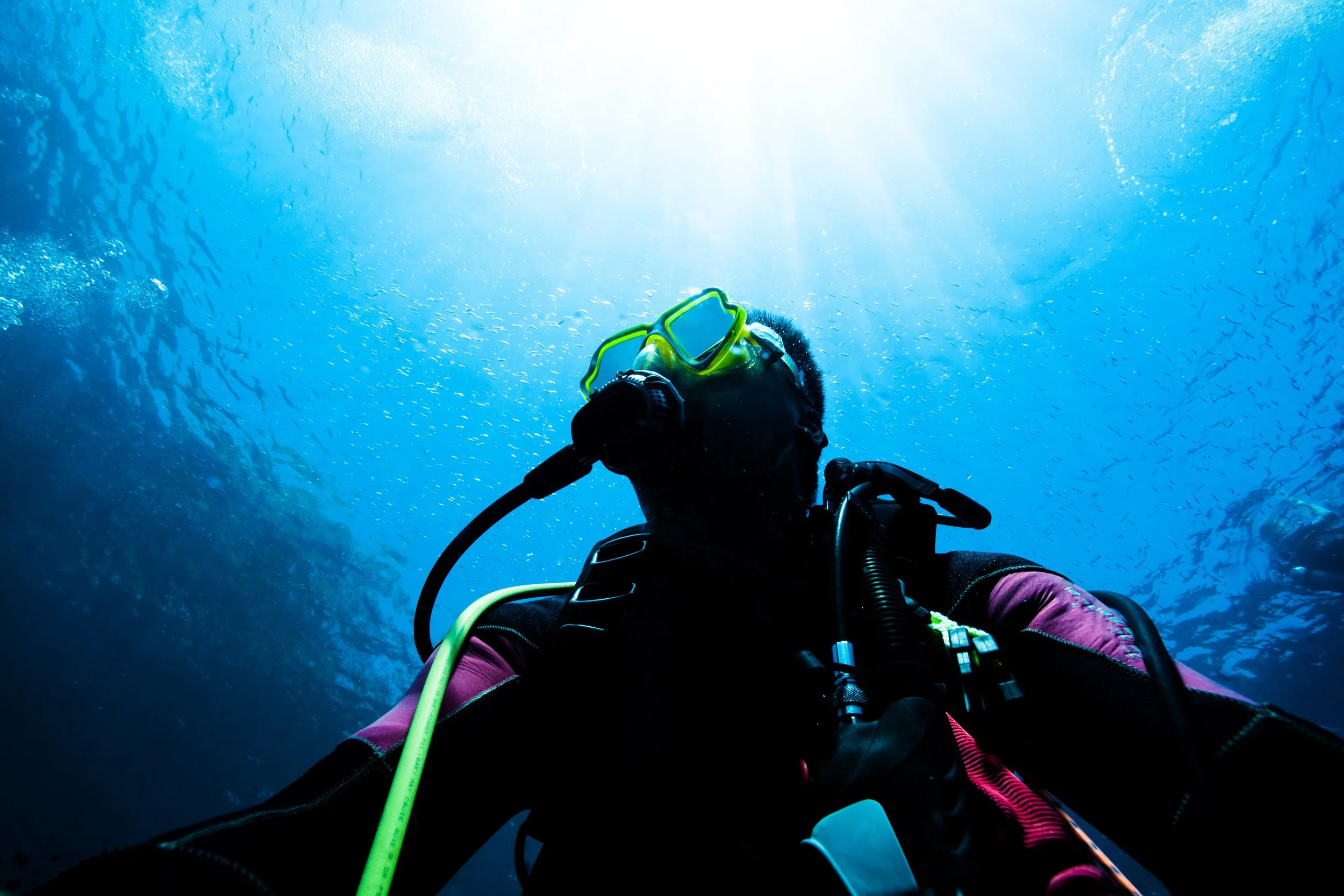 Person scuba diving underwater with sunlight filtering through the water