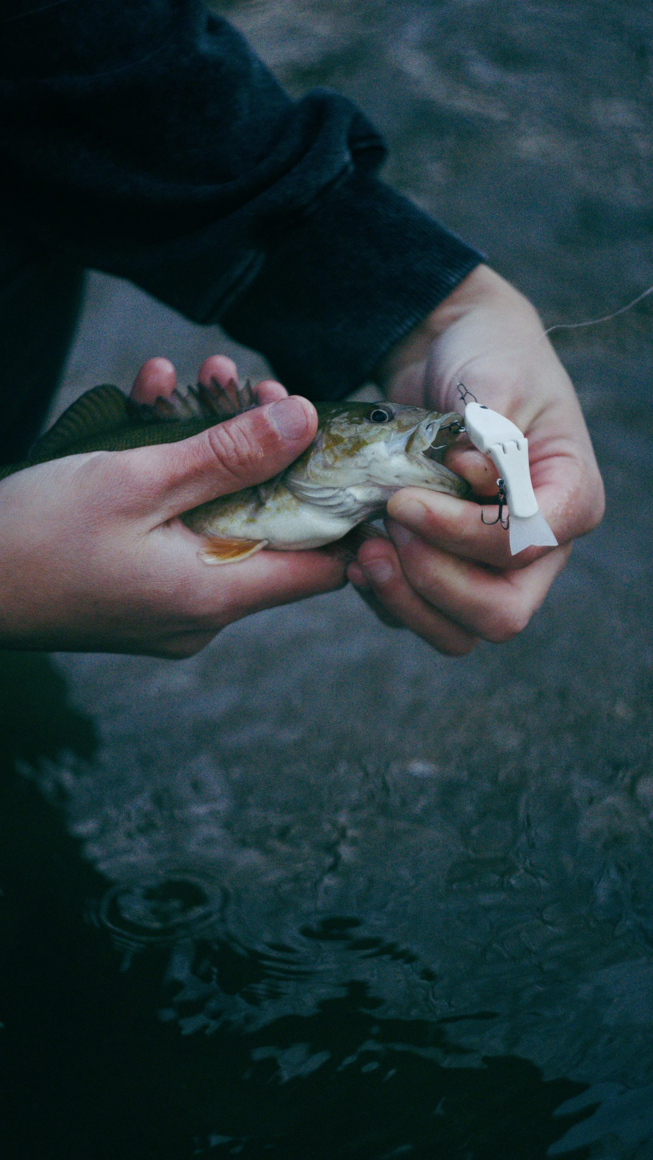 Still 2024-11-12 202733_2.2.1.jpg