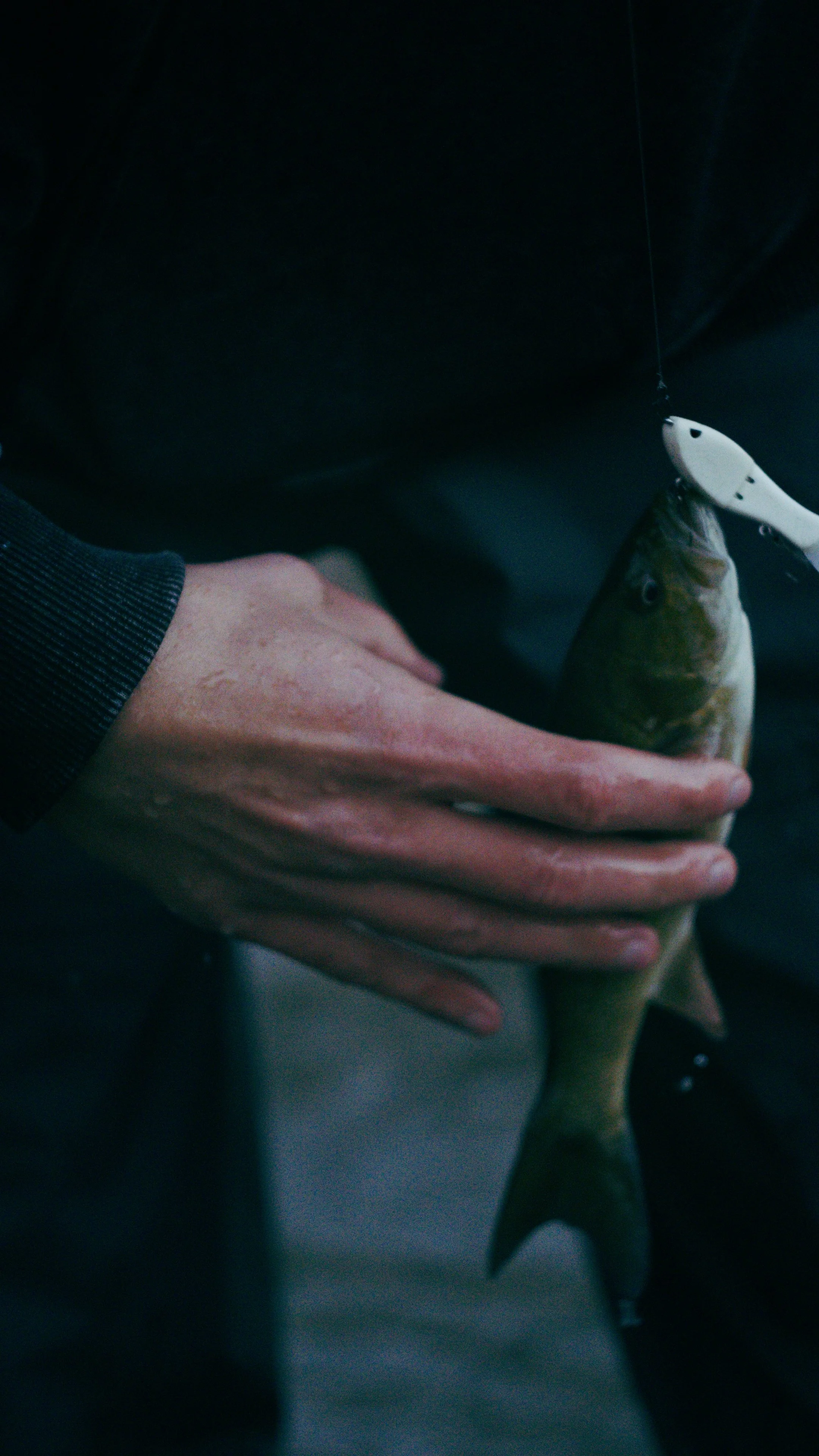 Still 2024-11-12 202233_2.3.2.jpg