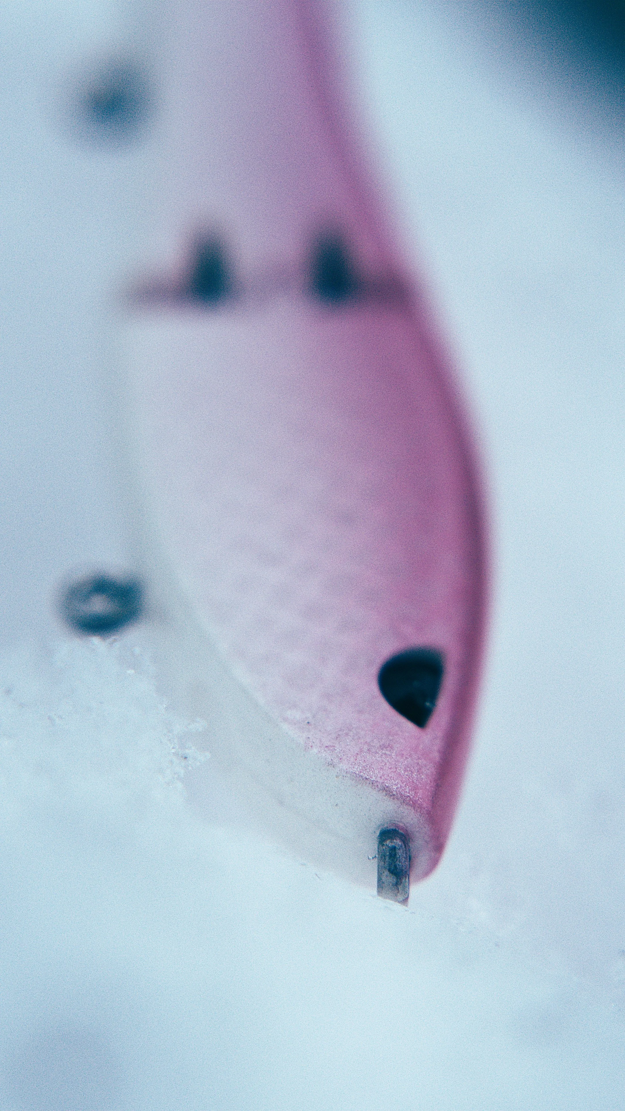 Still 2025-02-13 192222_2.17.1.jpg