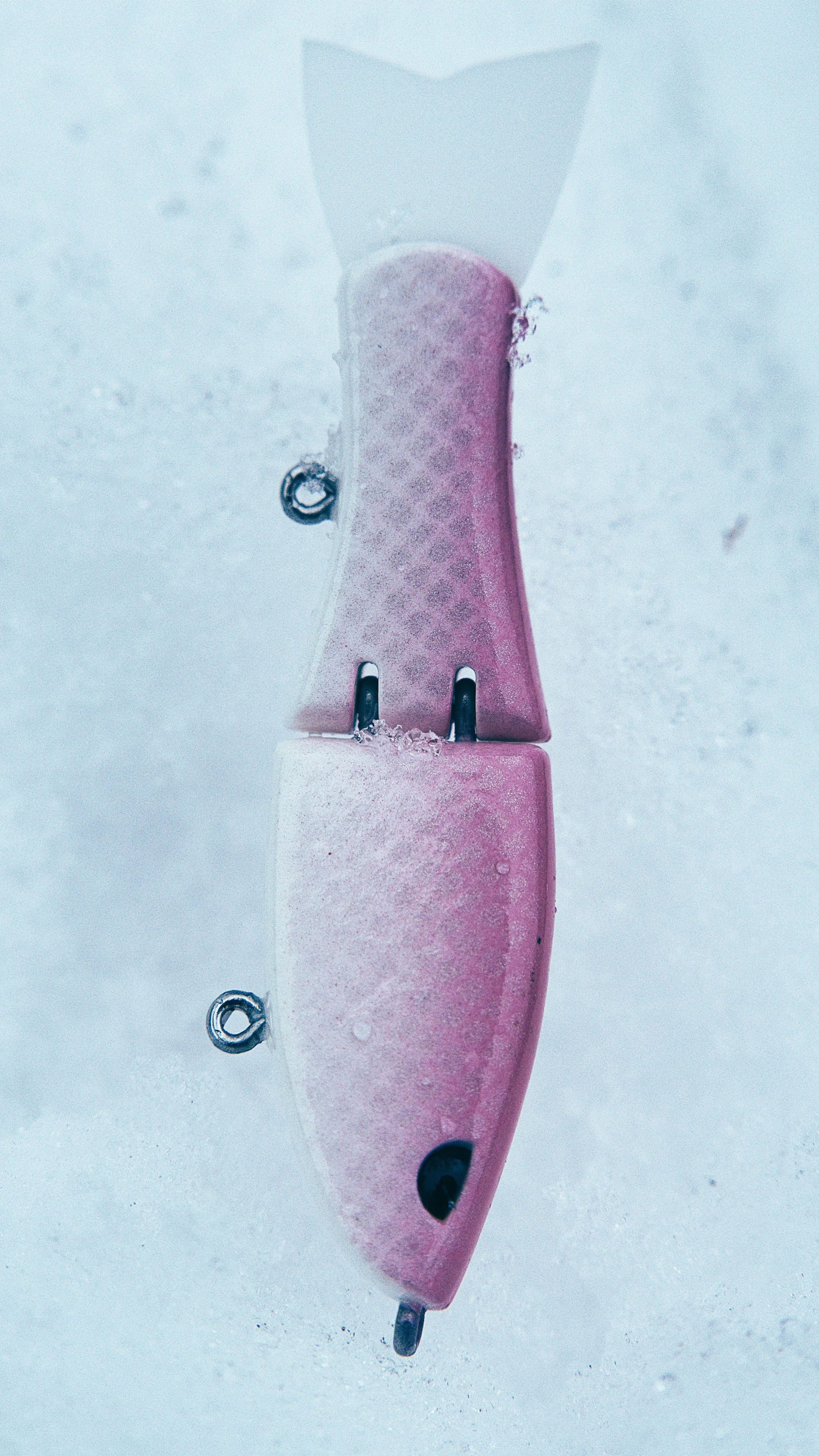 Still 2025-02-13 192127_2.10.1.jpg