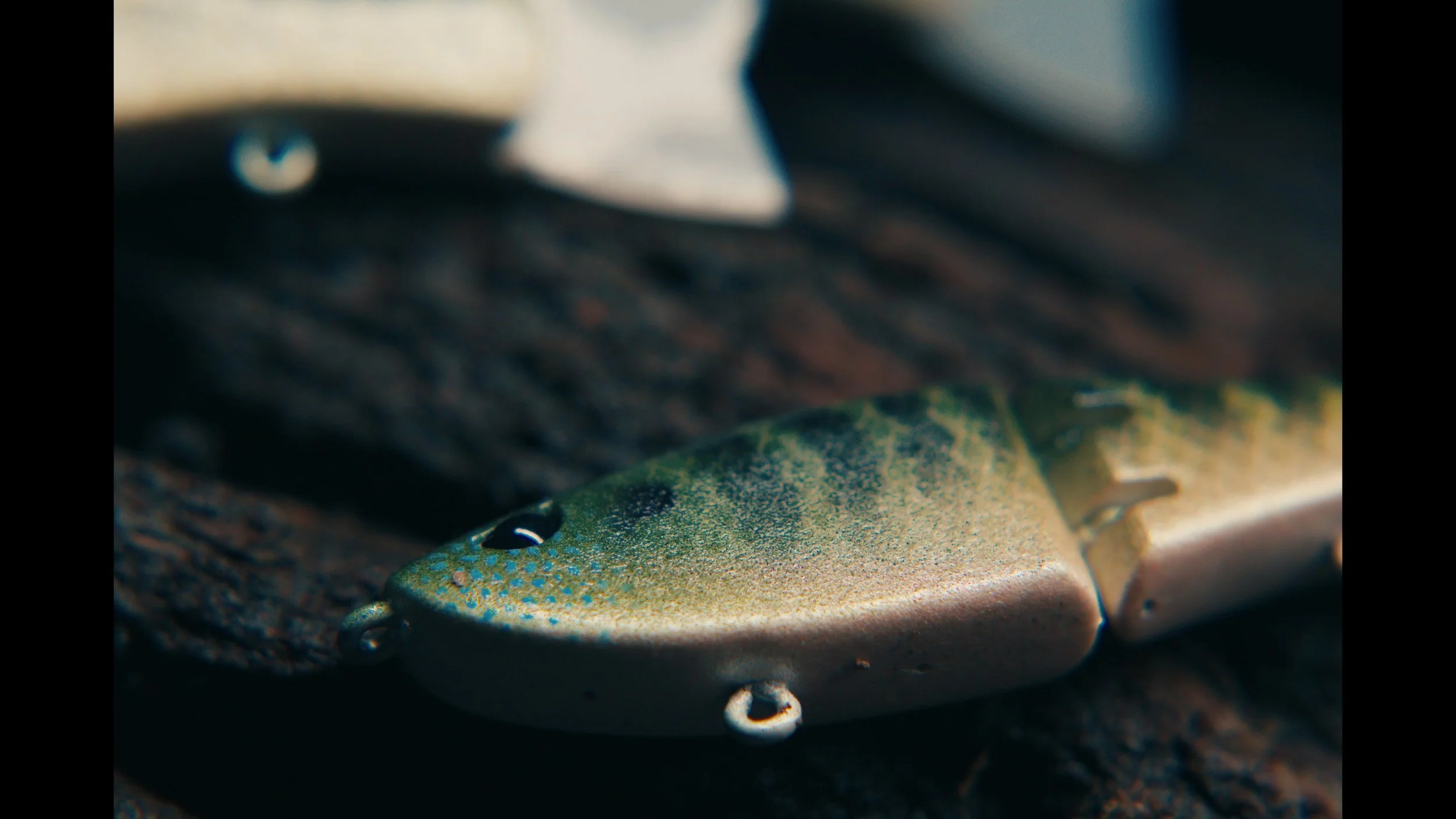 erabaits painted  photos00086656.jpg