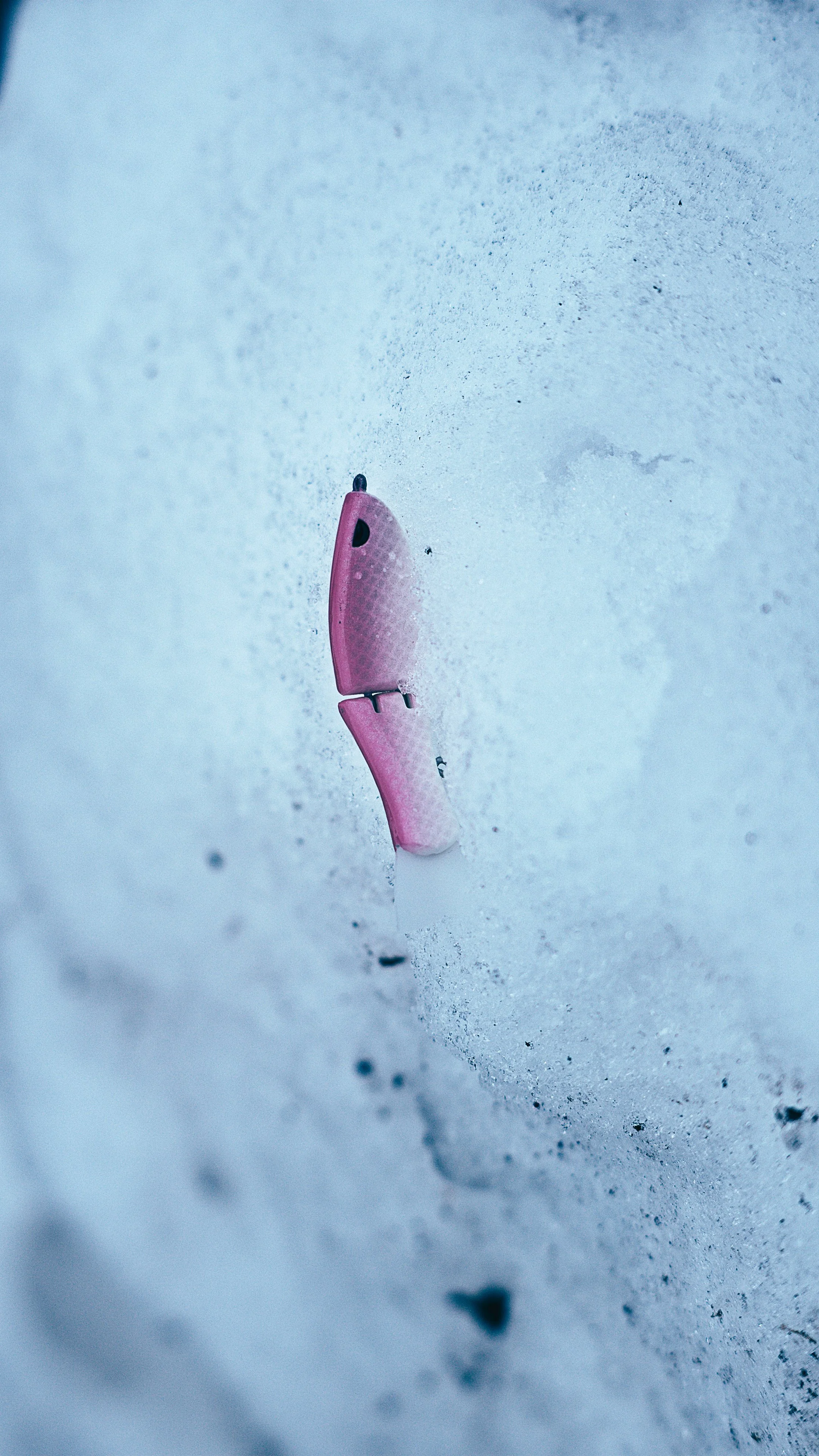 Still 2025-02-13 191058_2.2.1_1.jpg