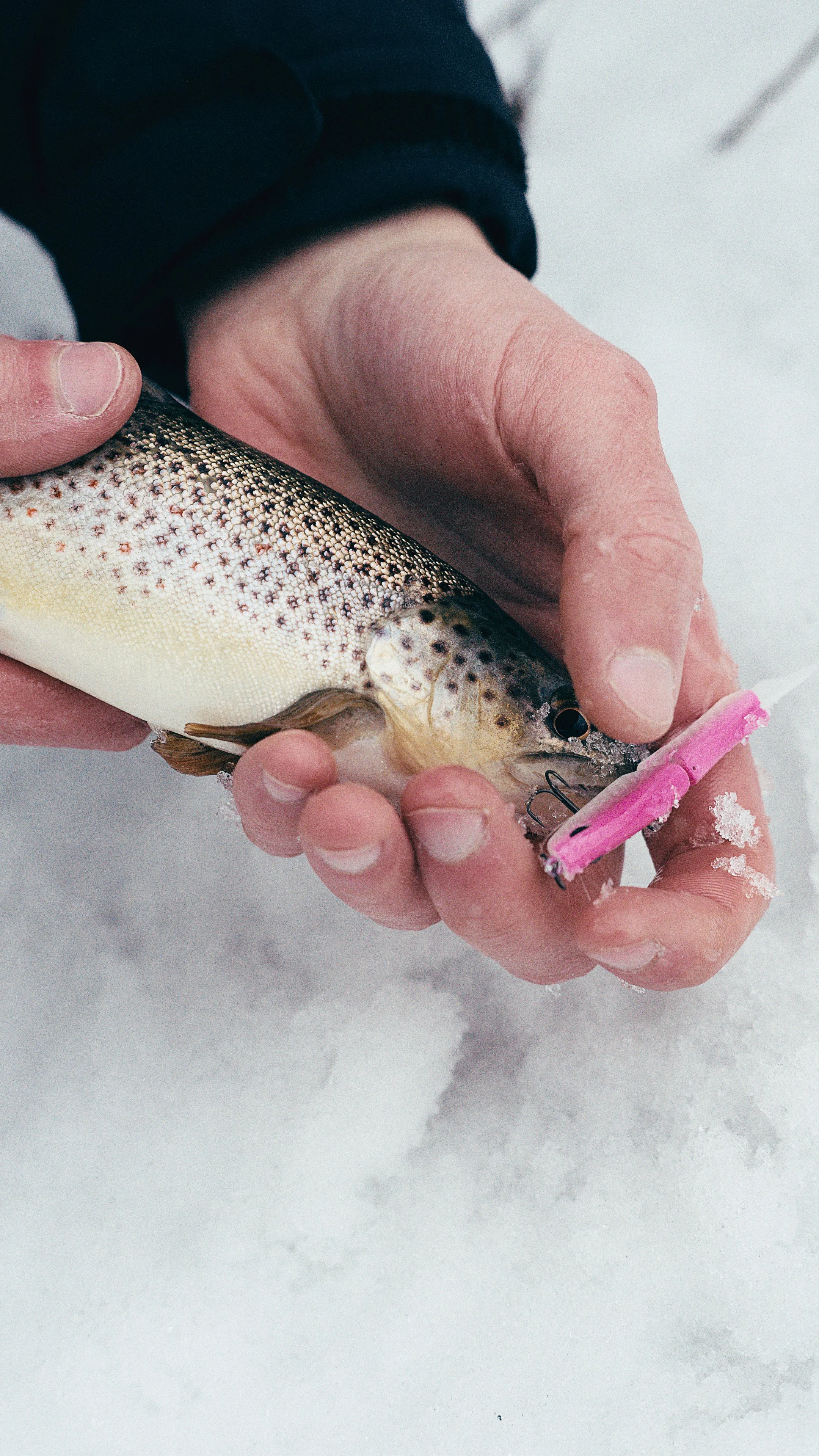 Still 2025-02-13 181127_2.9.1.jpg