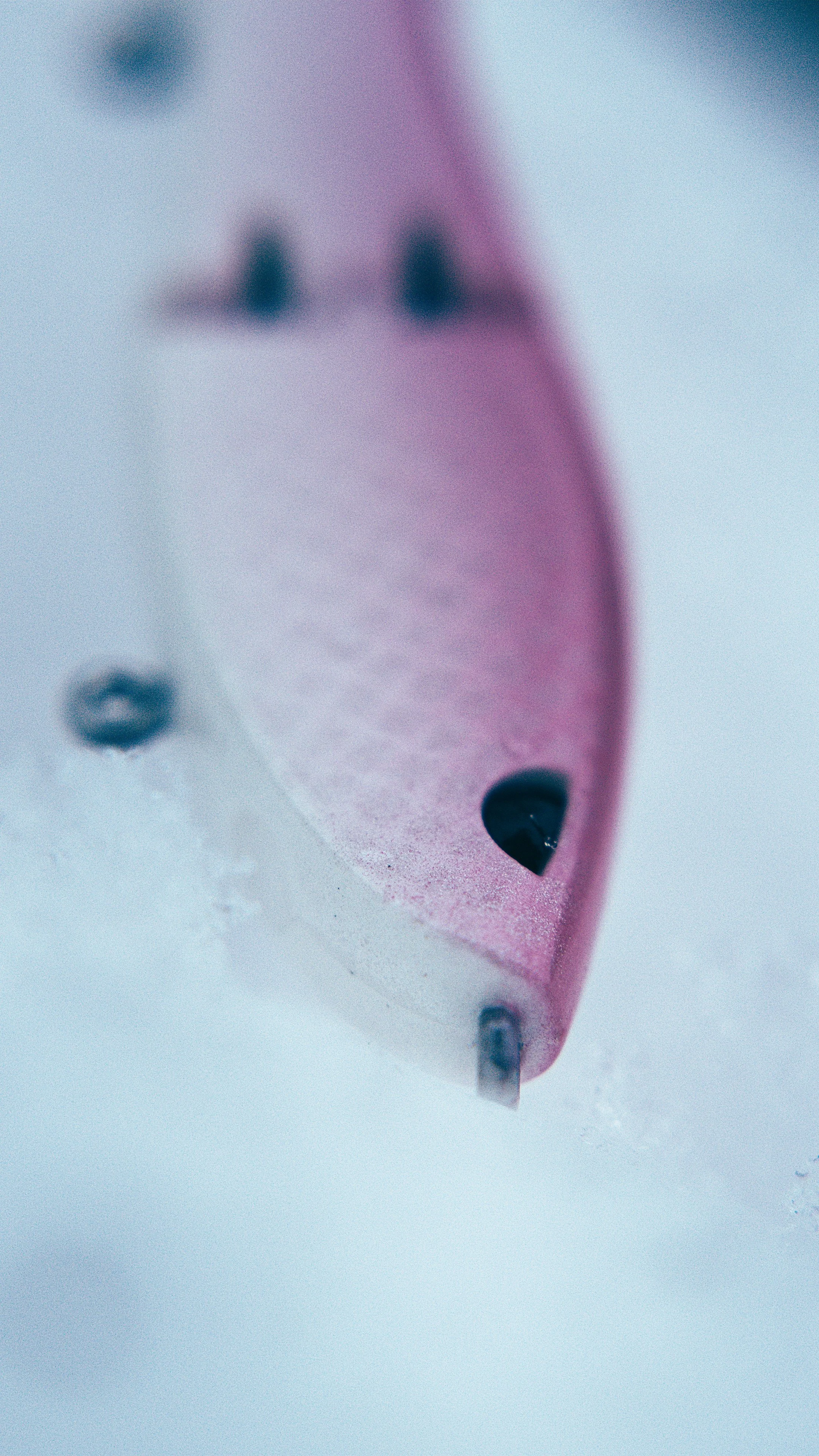 Still 2025-02-13 192228_2.18.1.jpg