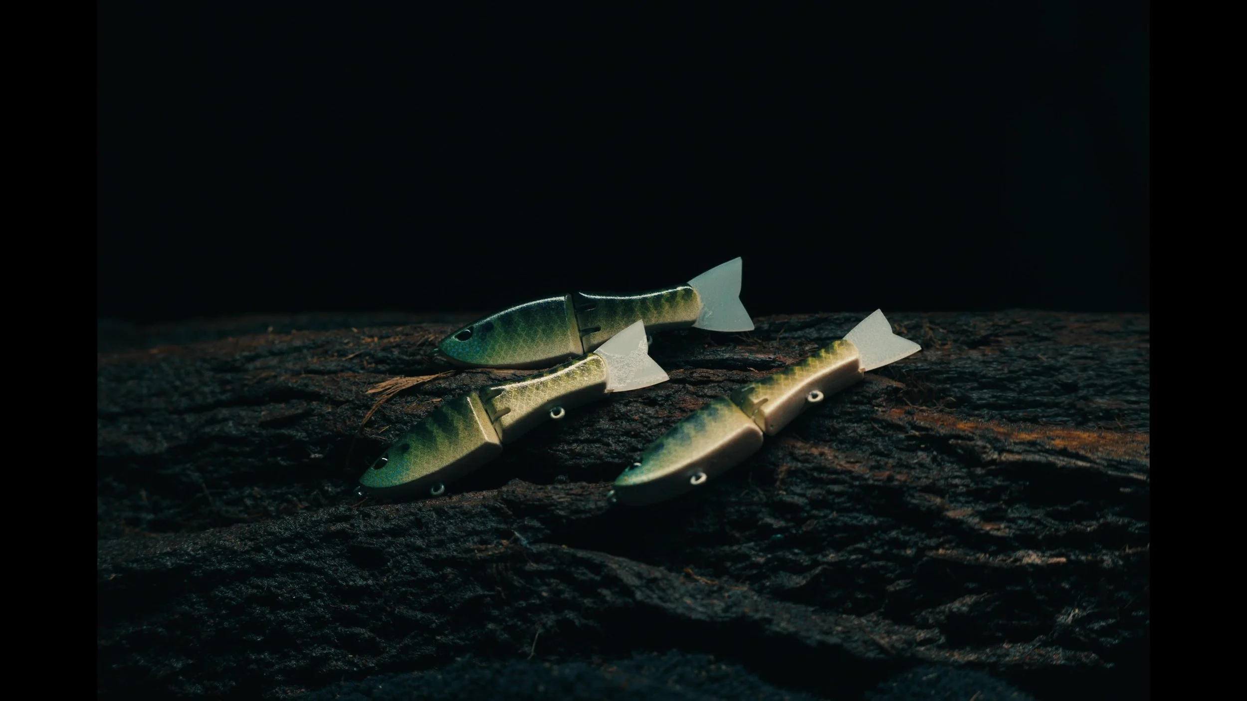 erabaits painted  photos00086590.jpg