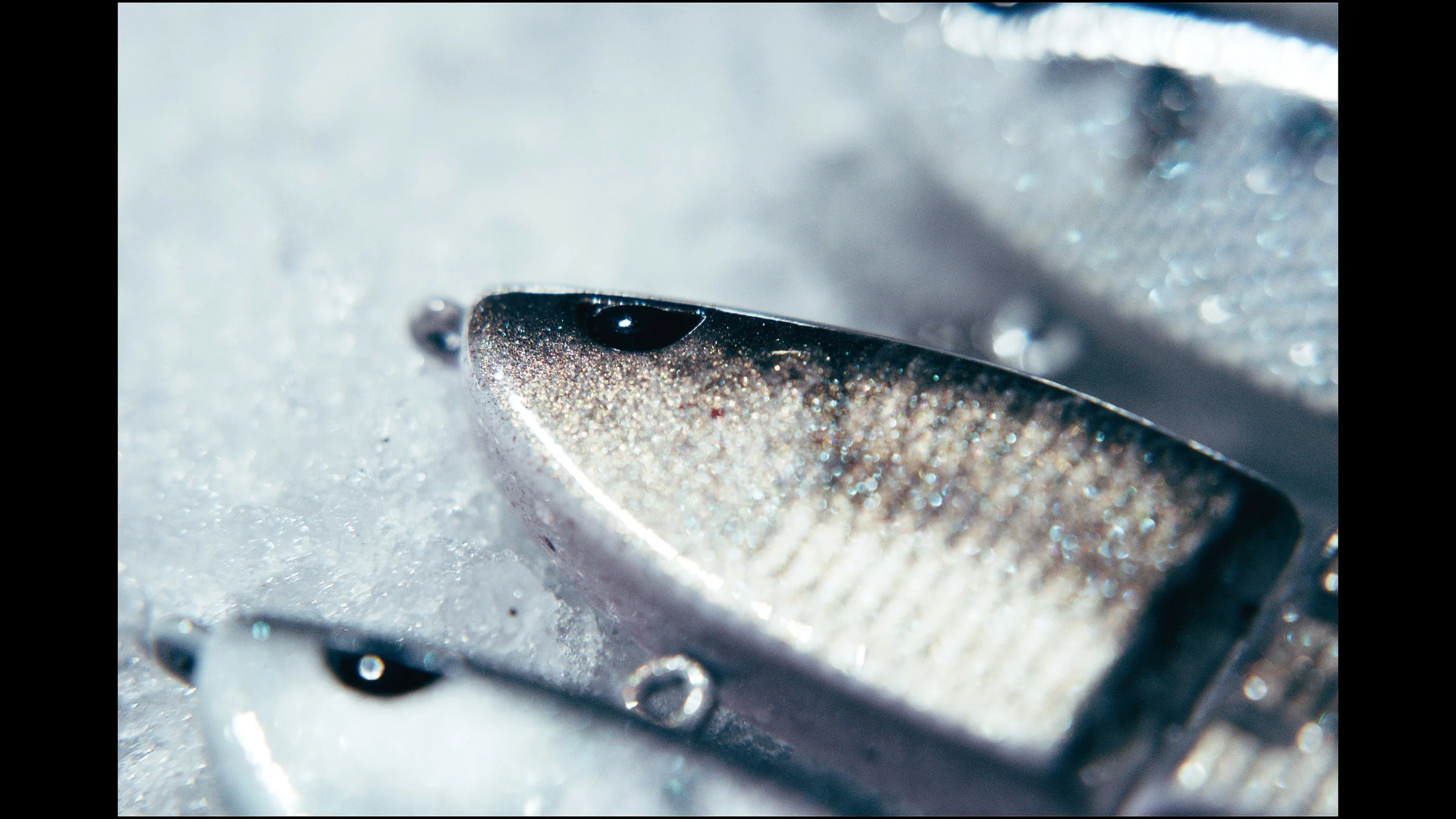 Still 2025-02-04 215630_2.52.1.jpg