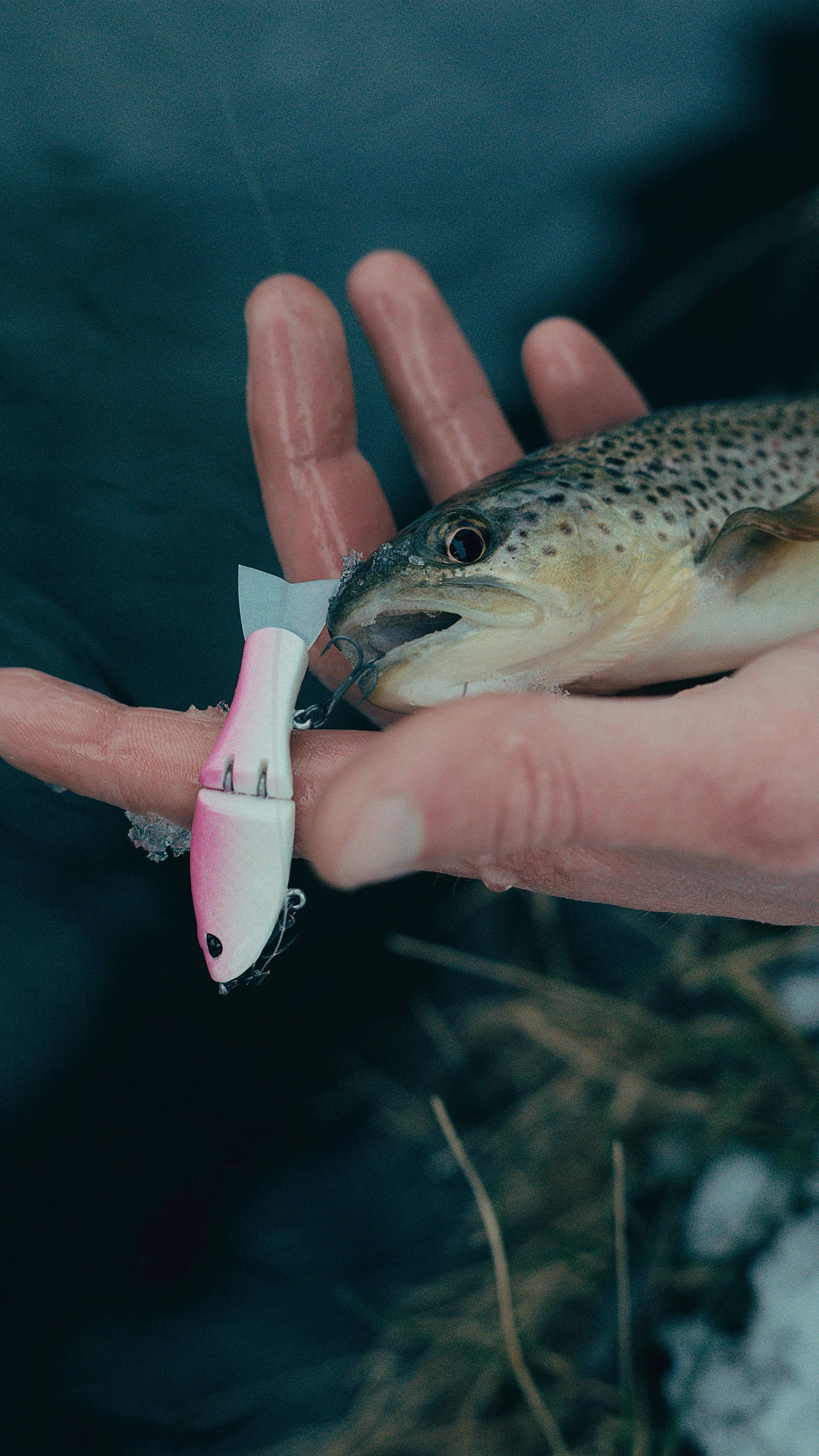 Still 2025-02-13 181212_2.15.1_1.jpg