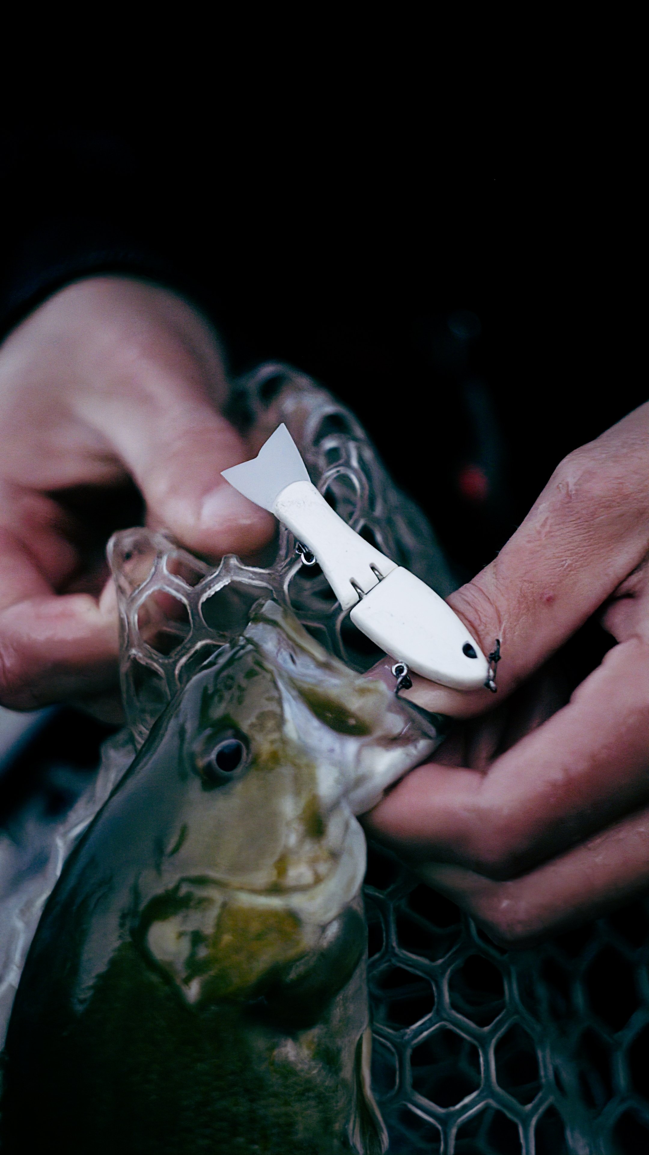 Still 2024-11-12 212131_2.10.1.jpg