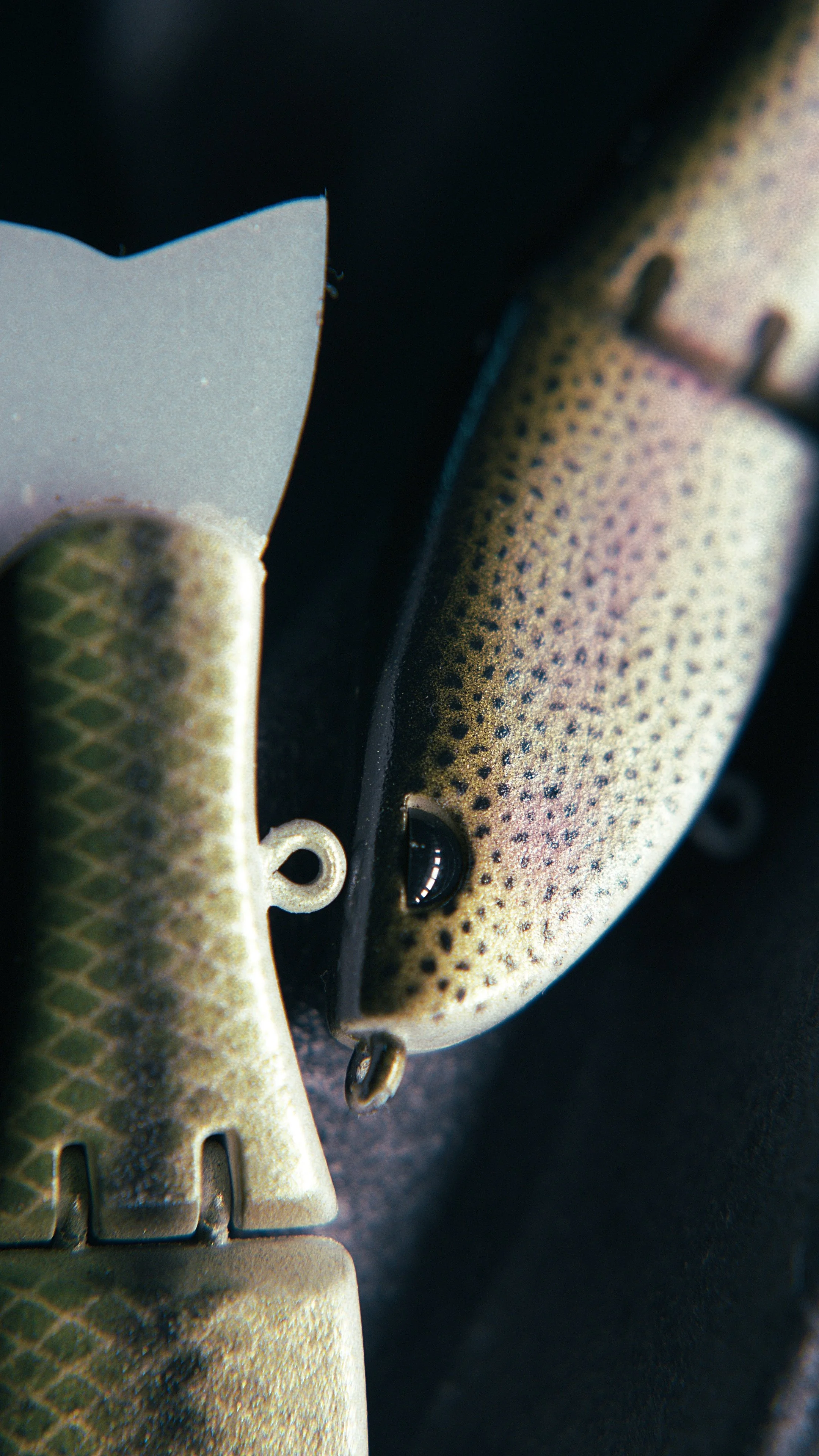 Still 2025-02-27 200526_2.8.1.jpg