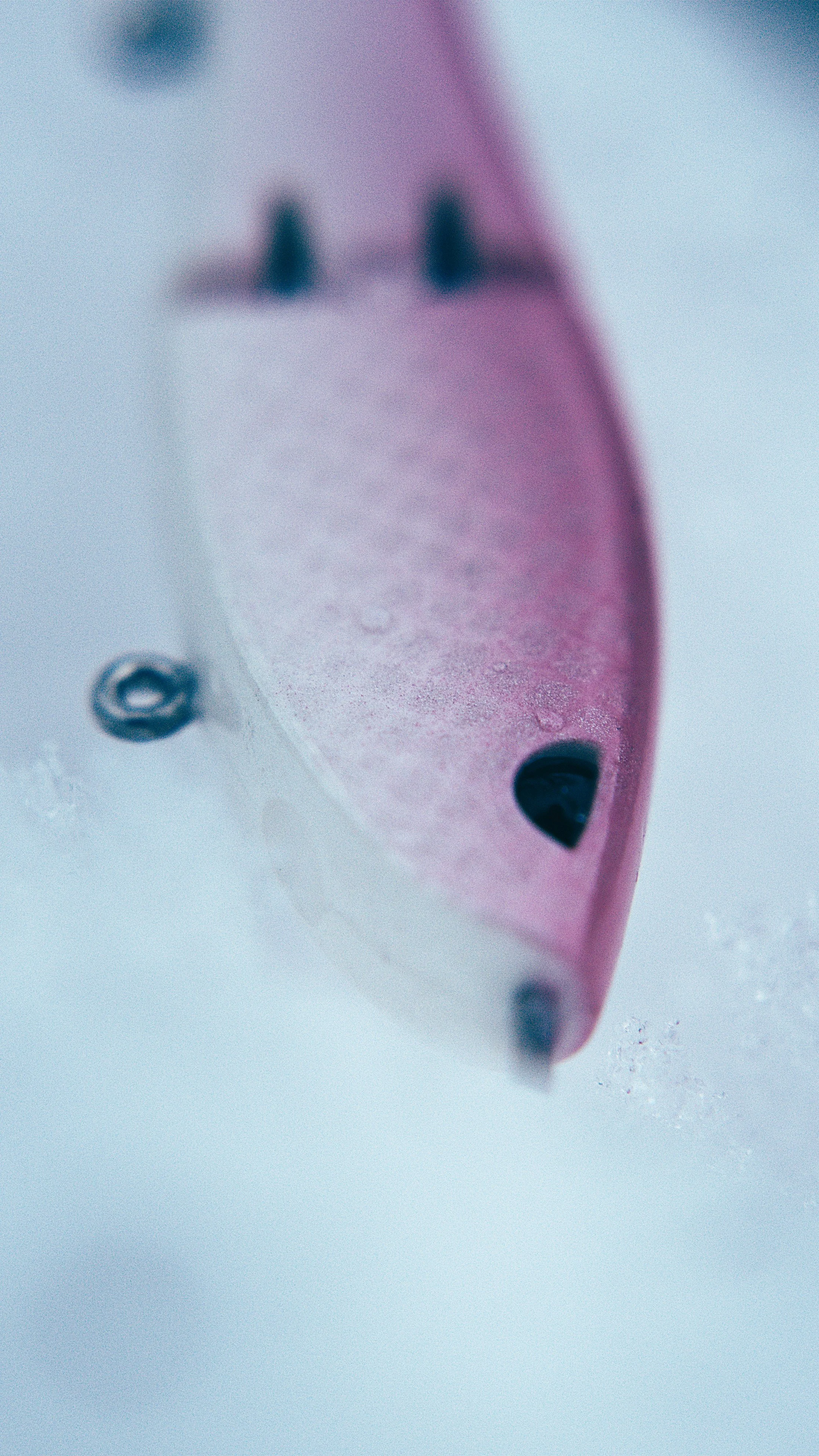 Still 2025-02-13 192215_2.16.1.jpg