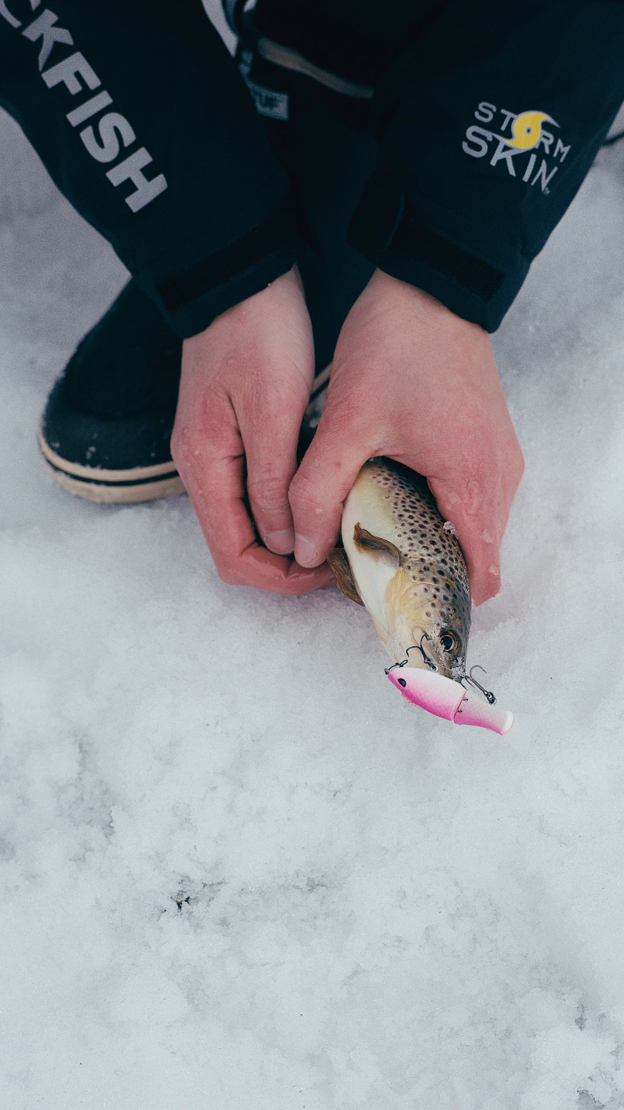 Still 2025-02-13 181157_2.13.1.jpg