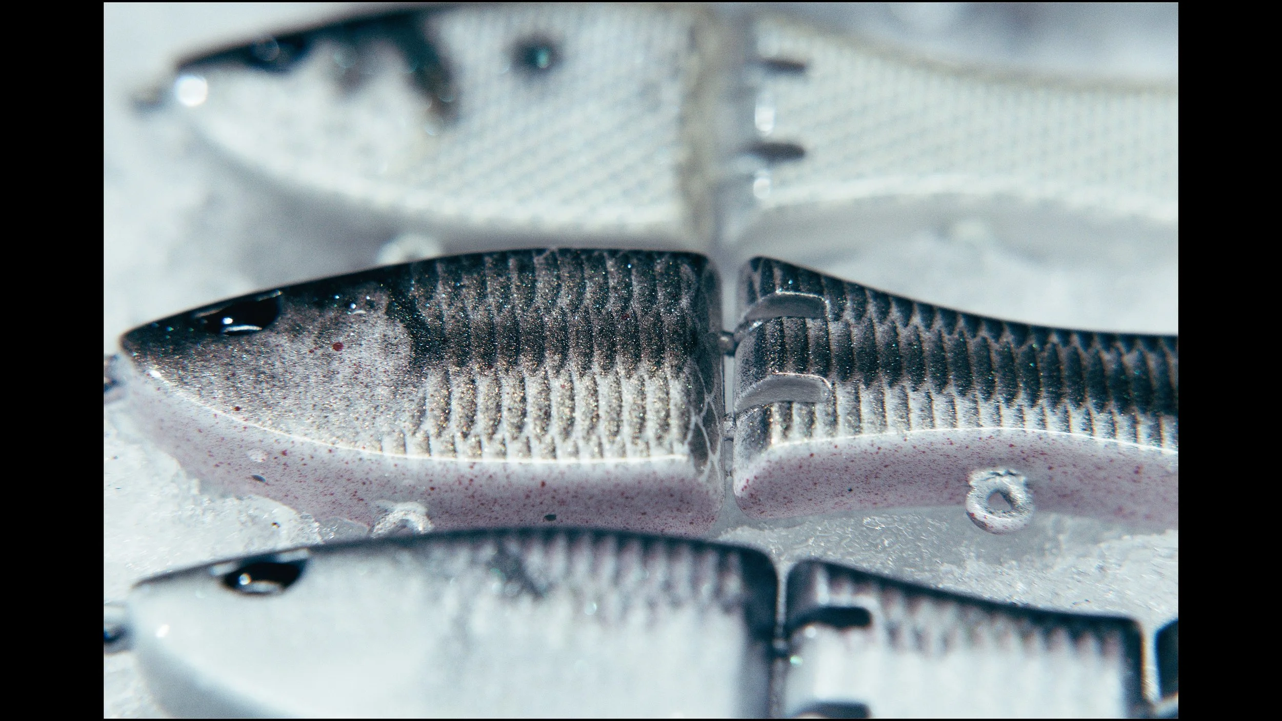 Still 2025-02-04 215521_2.43.1.jpg