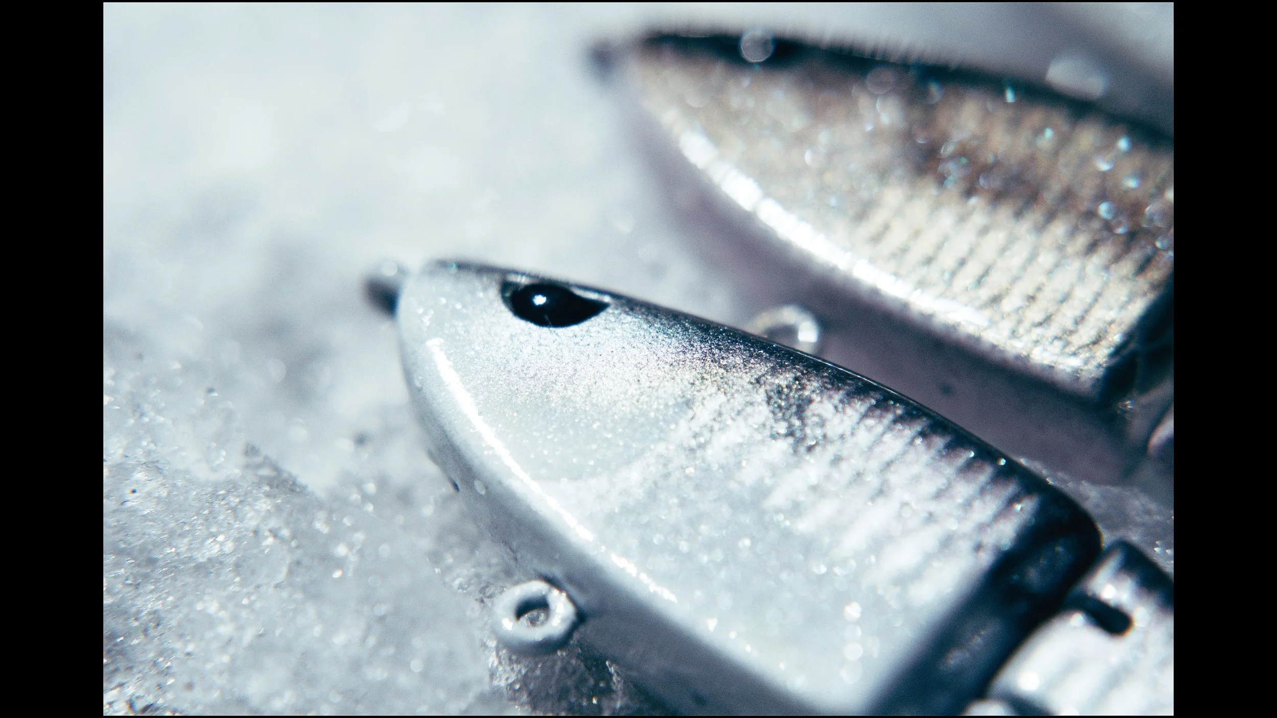 Still 2025-02-04 215604_2.48.1.jpg