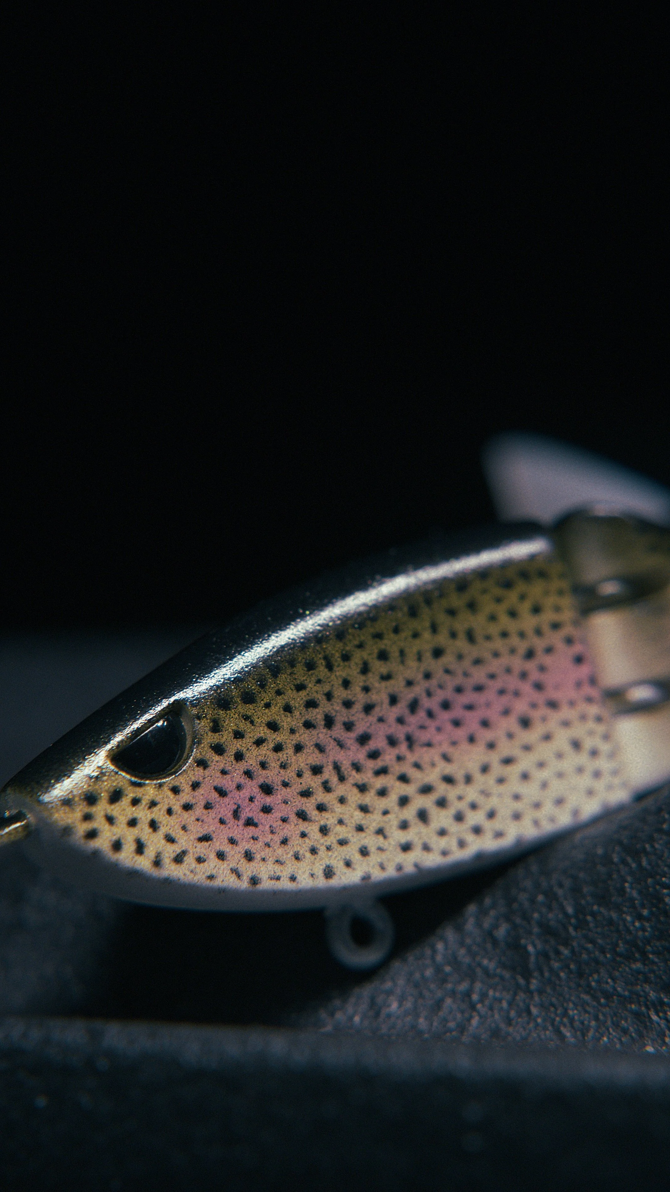 Still 2025-02-27 200526_2.21.1.jpg