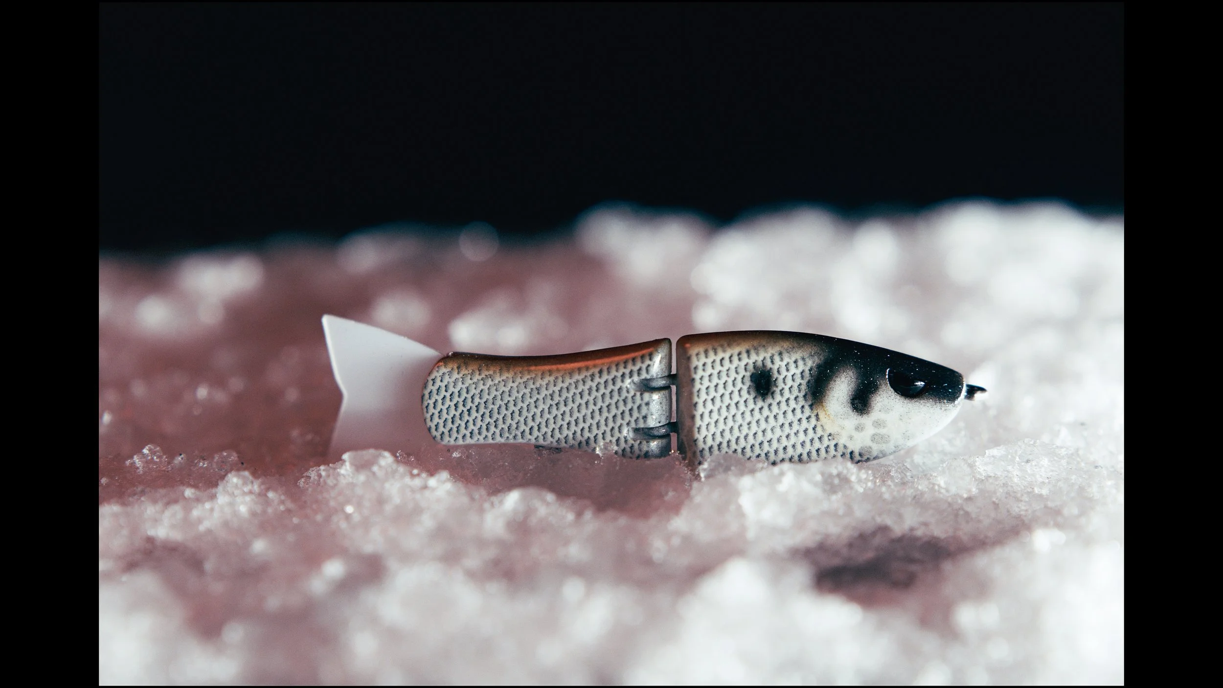 Still 2025-02-04 214307_2.9.1.jpg