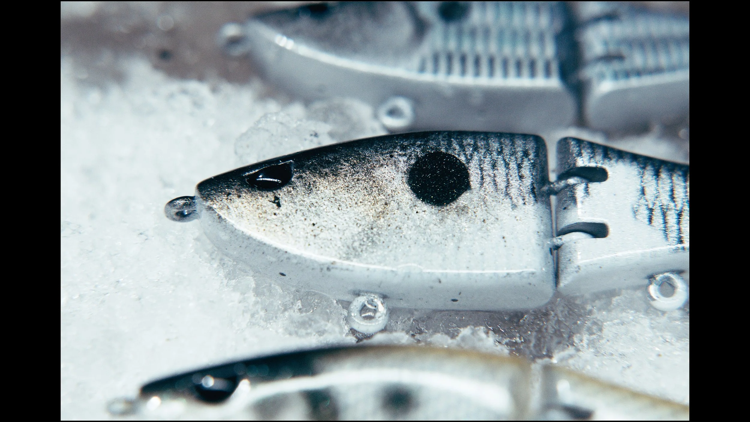 Still 2025-02-04 215544_2.46.1.jpg