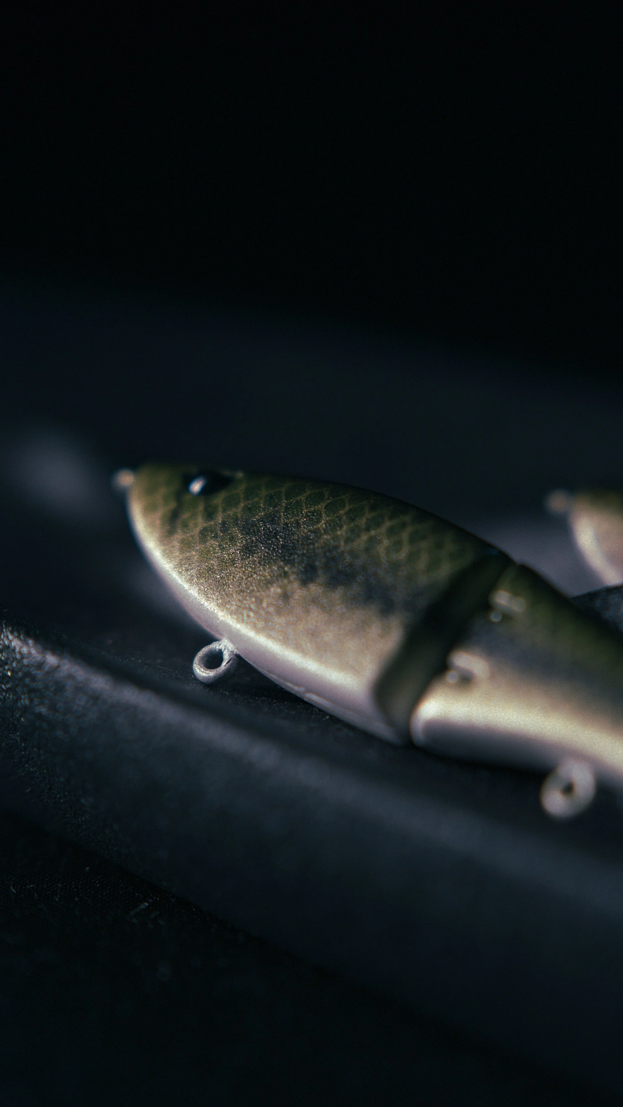 Still 2025-02-27 200526_2.4.1.jpg