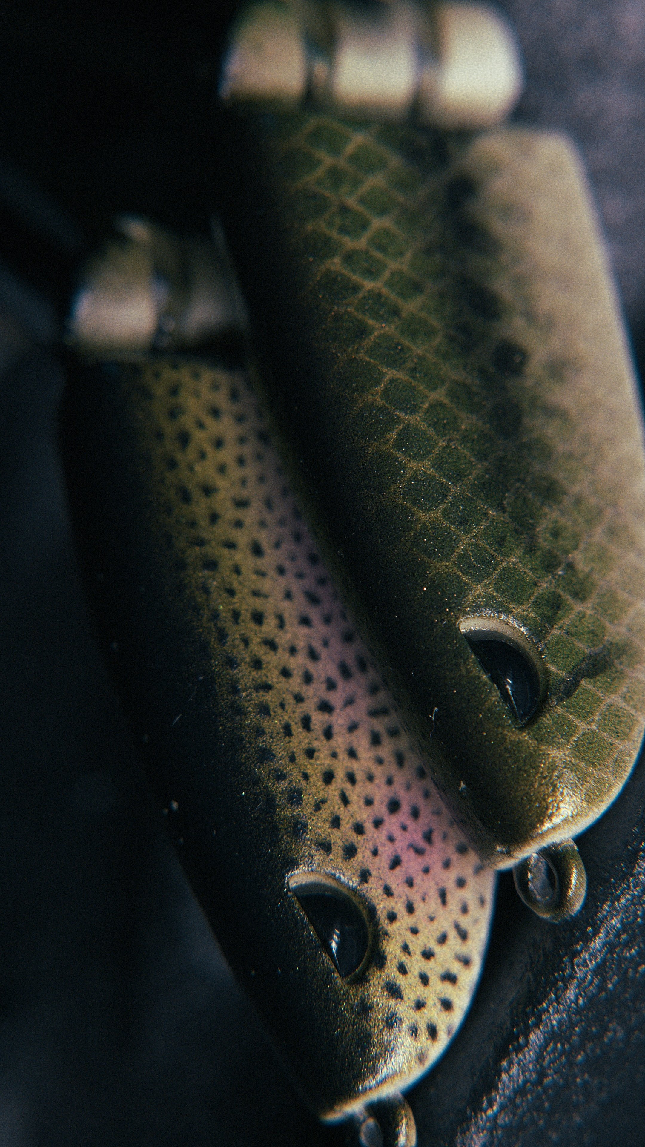 Still 2025-02-27 200526_2.13.1.jpg