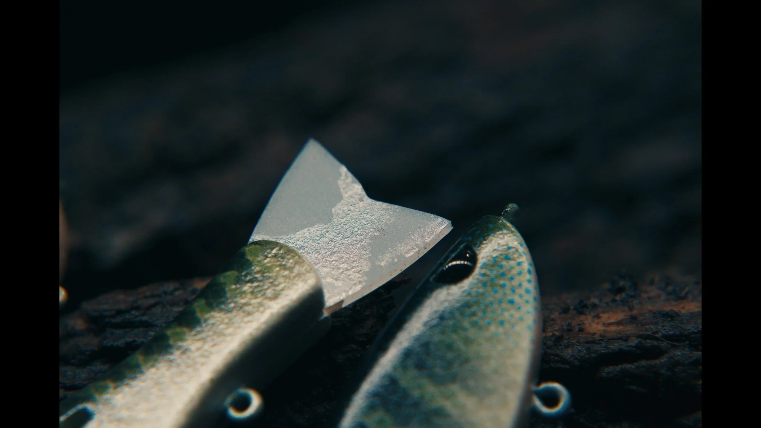 erabaits painted  photos00086678.jpg