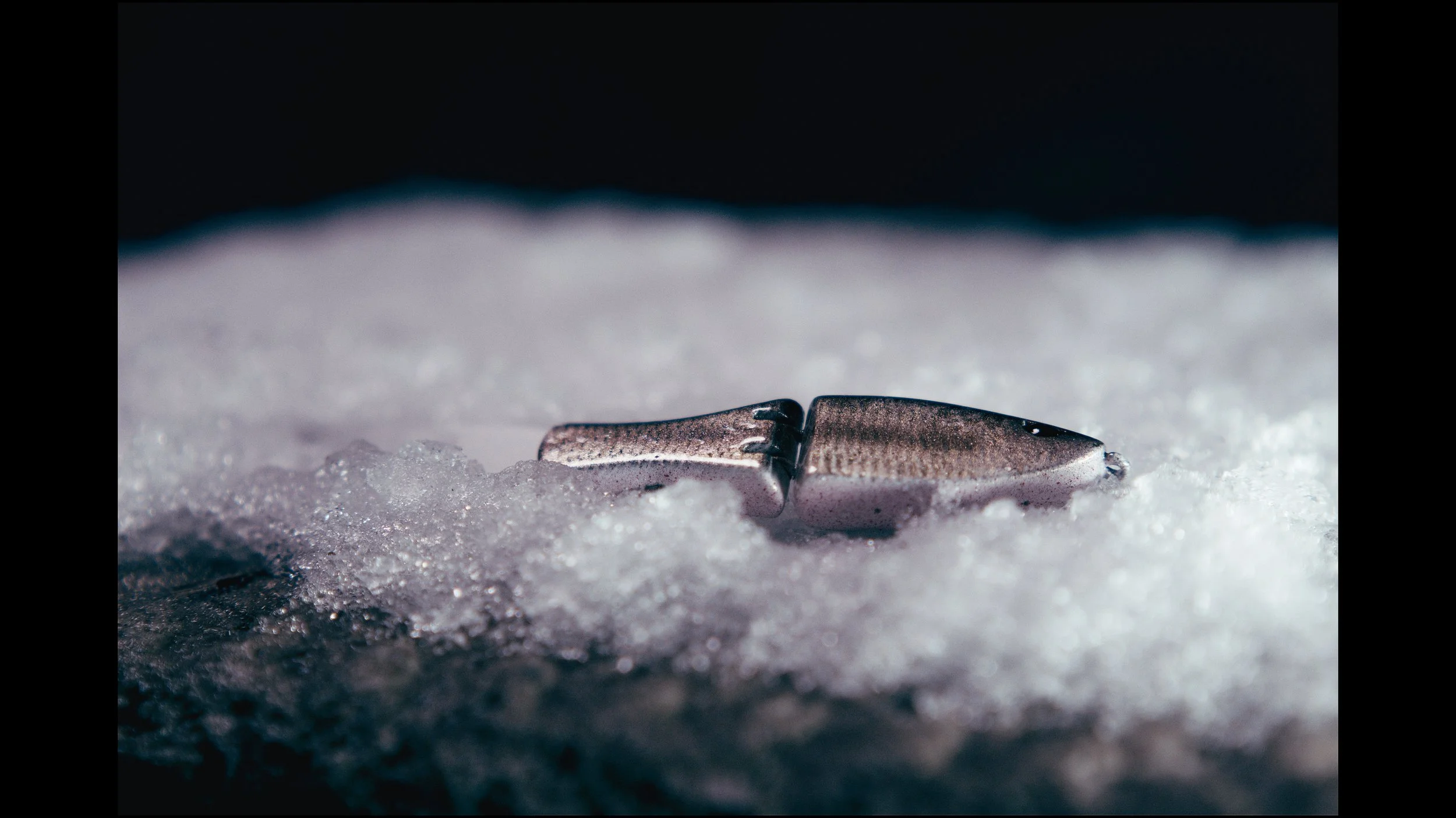 Still 2025-02-04 200951_2.1.1.jpg