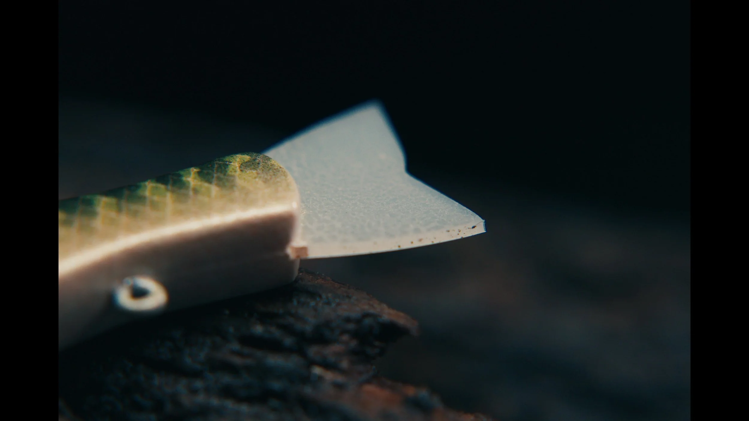 erabaits painted  photos00086648.jpg