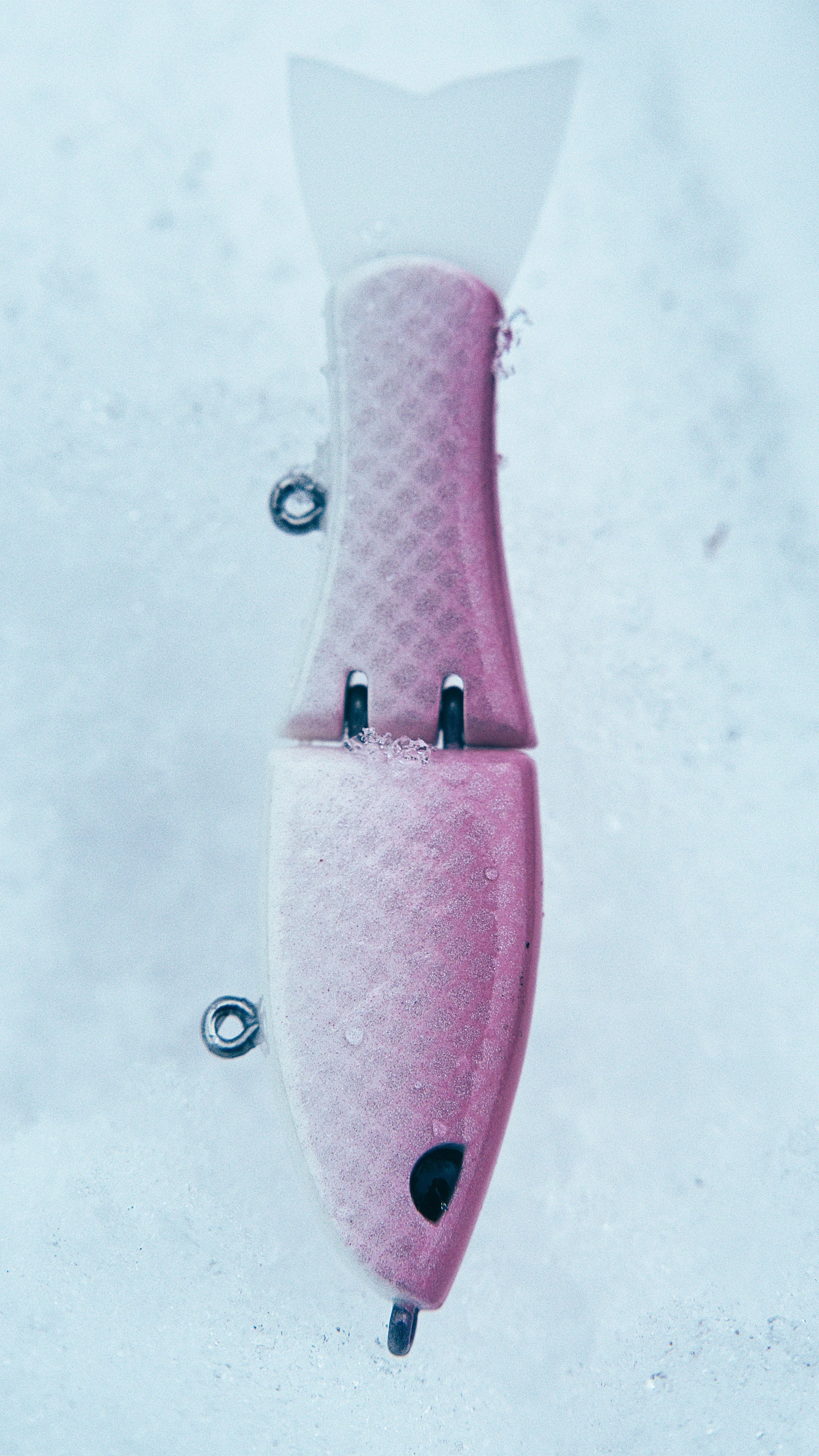 Still 2025-02-13 192153_2.13.1.jpg