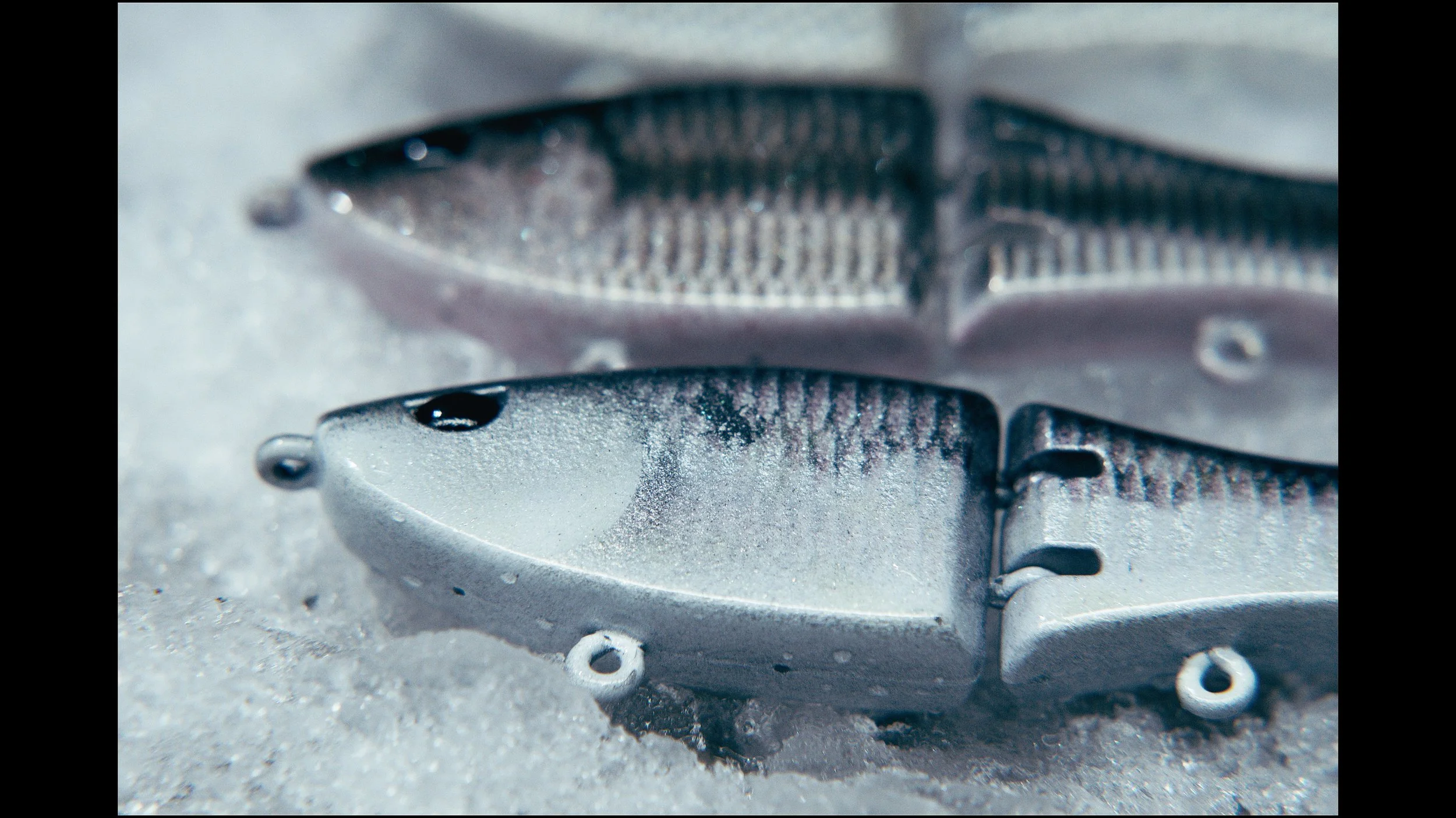 Still 2025-02-04 215505_2.41.1.jpg