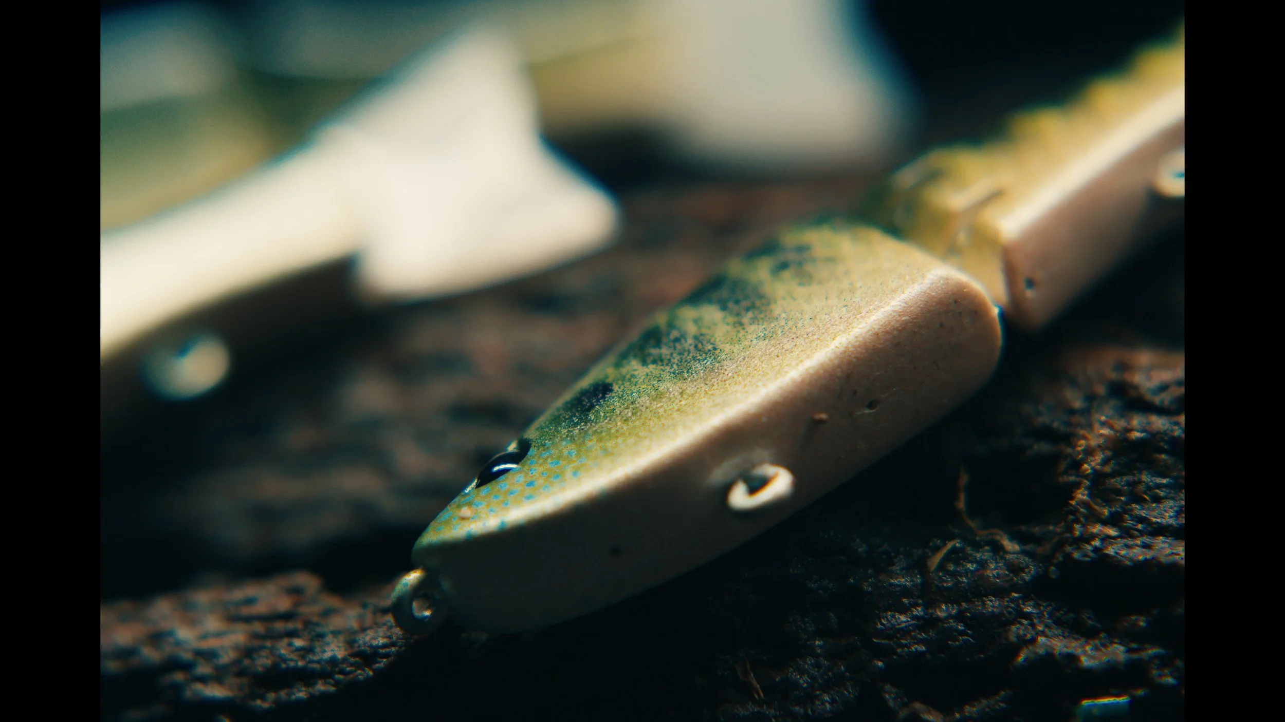 erabaits painted  photos00086616.jpg