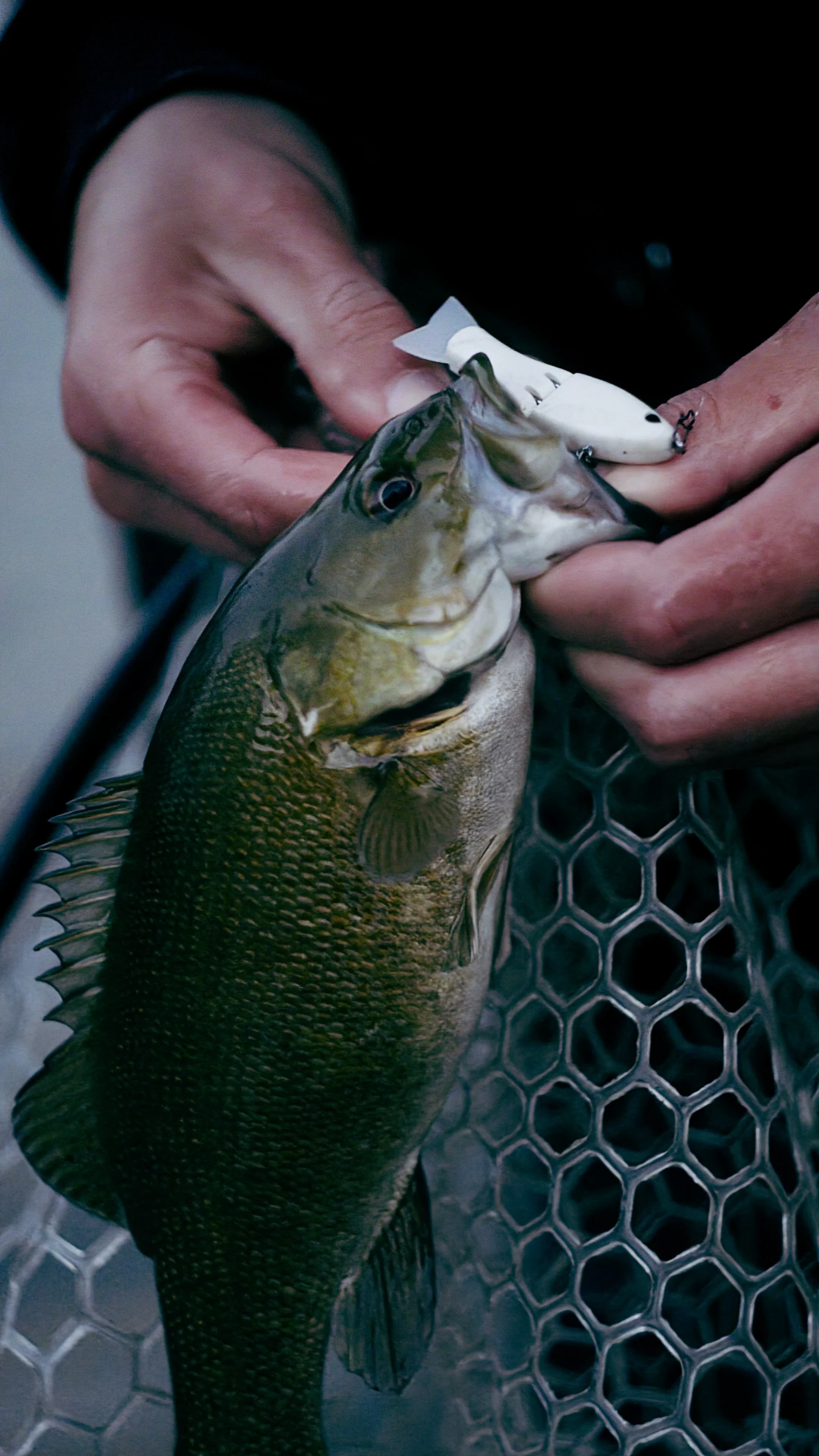 Still 2024-11-12 211544_1.18.1.jpg