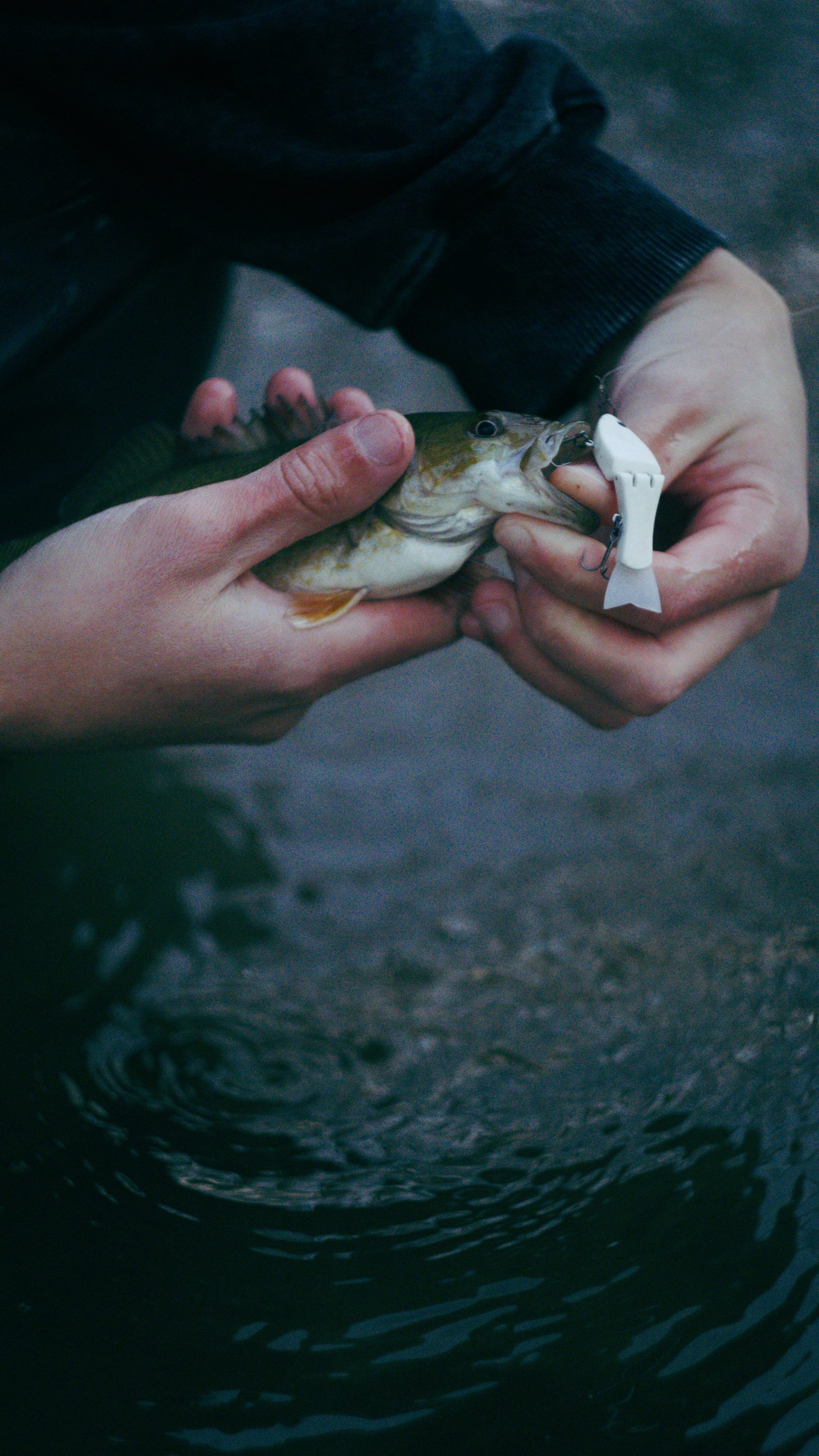 Still 2024-11-12 203005_1.9.1.jpg