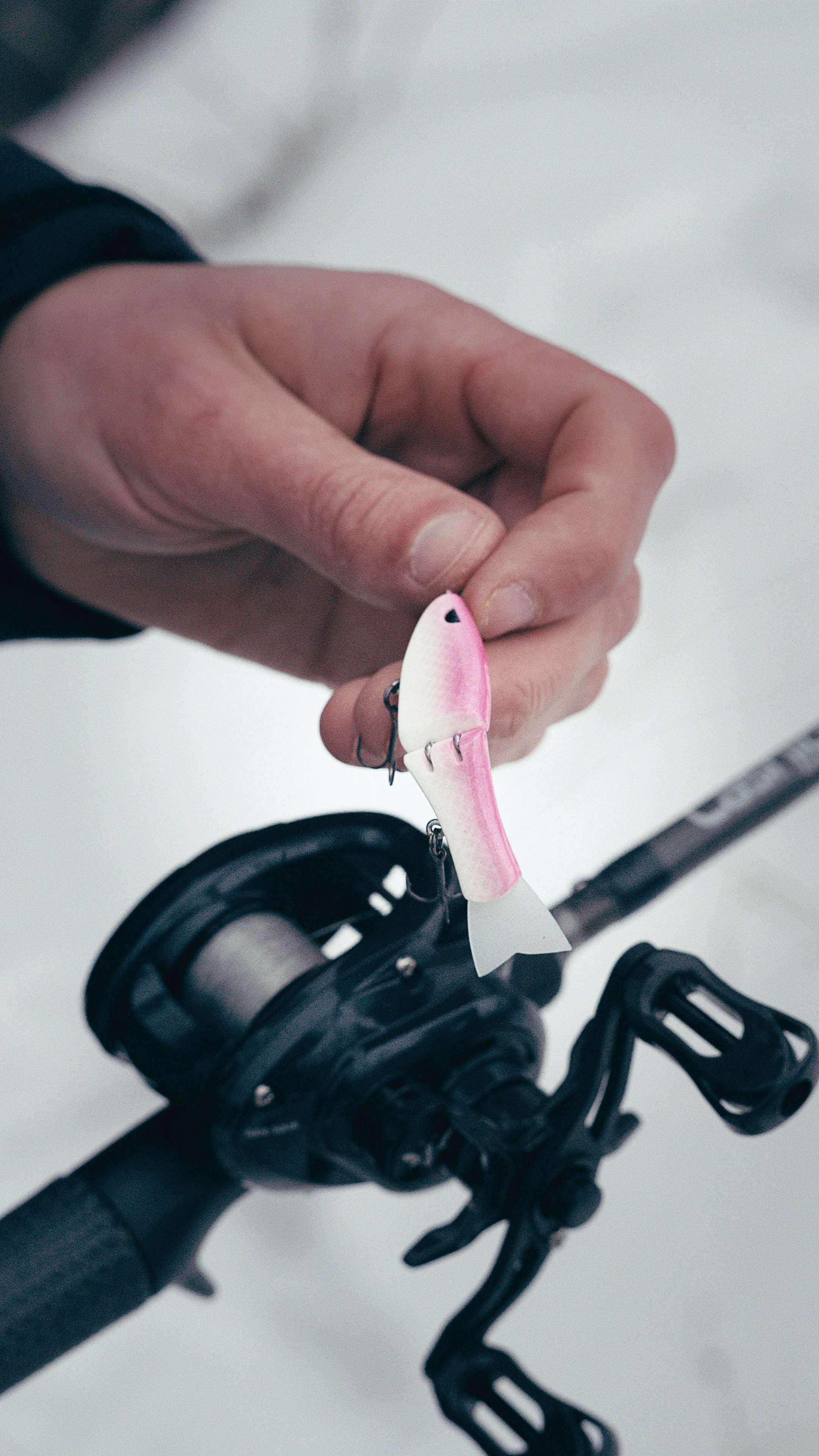 Still 2025-02-13 181105_2.6.1.jpg