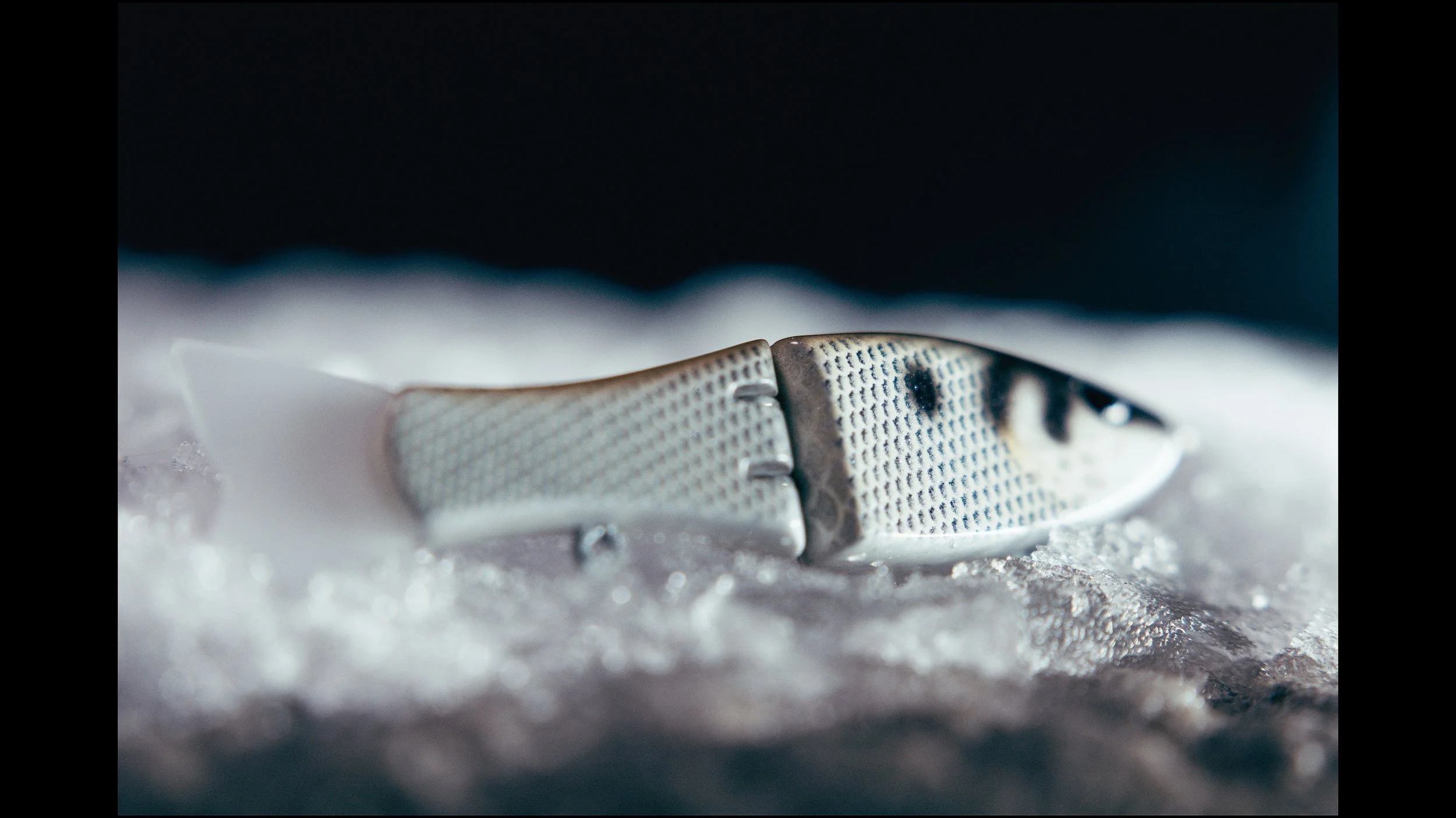 Still 2025-02-04 214217_2.6.1.jpg