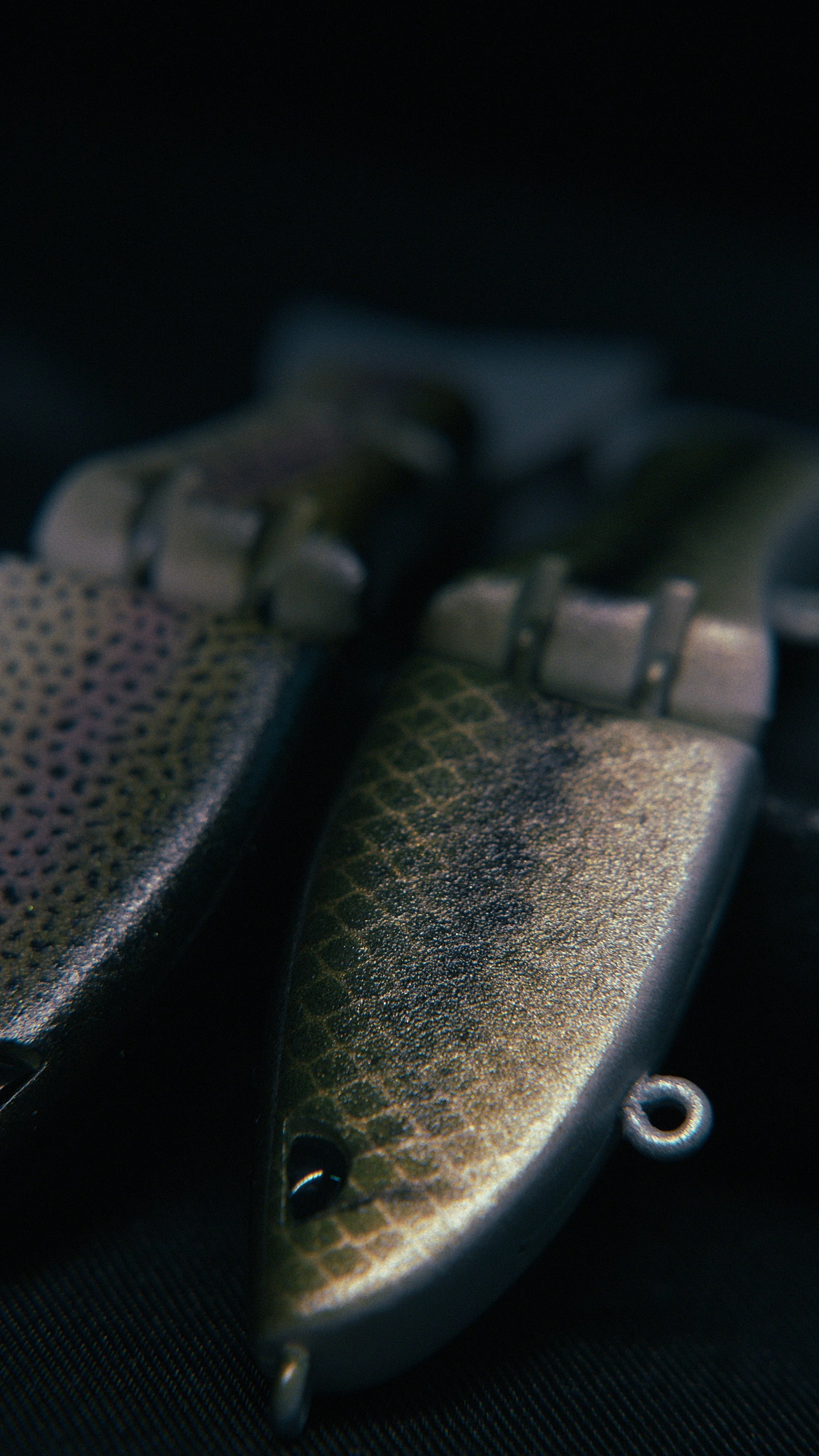 Still 2025-02-27 200526_2.19.1.jpg