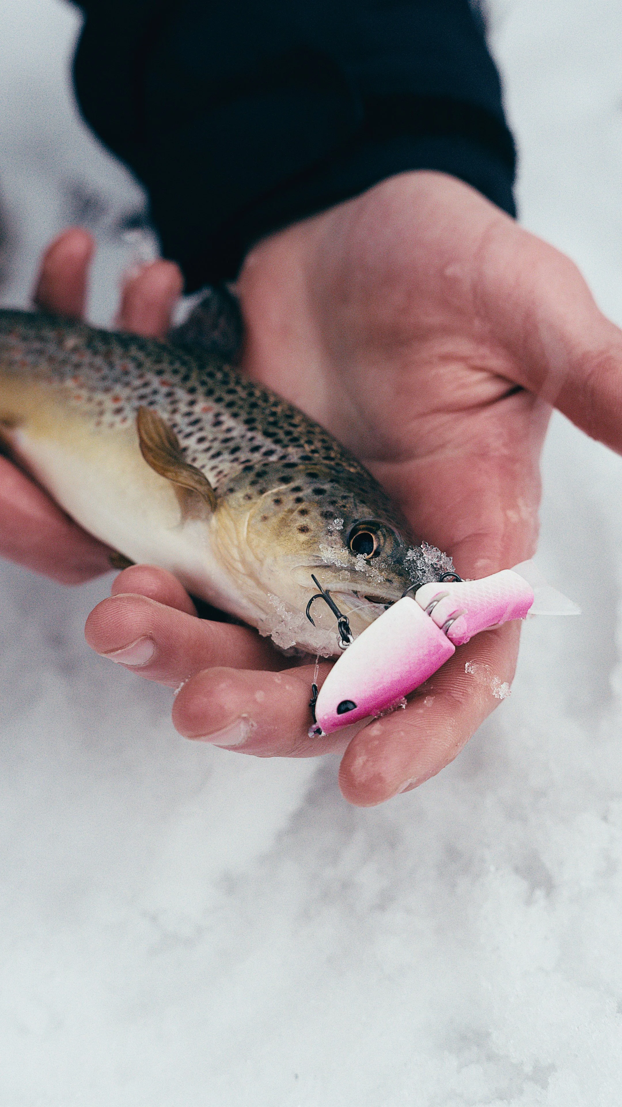 Still 2025-02-13 181139_2.11.1_1.jpg