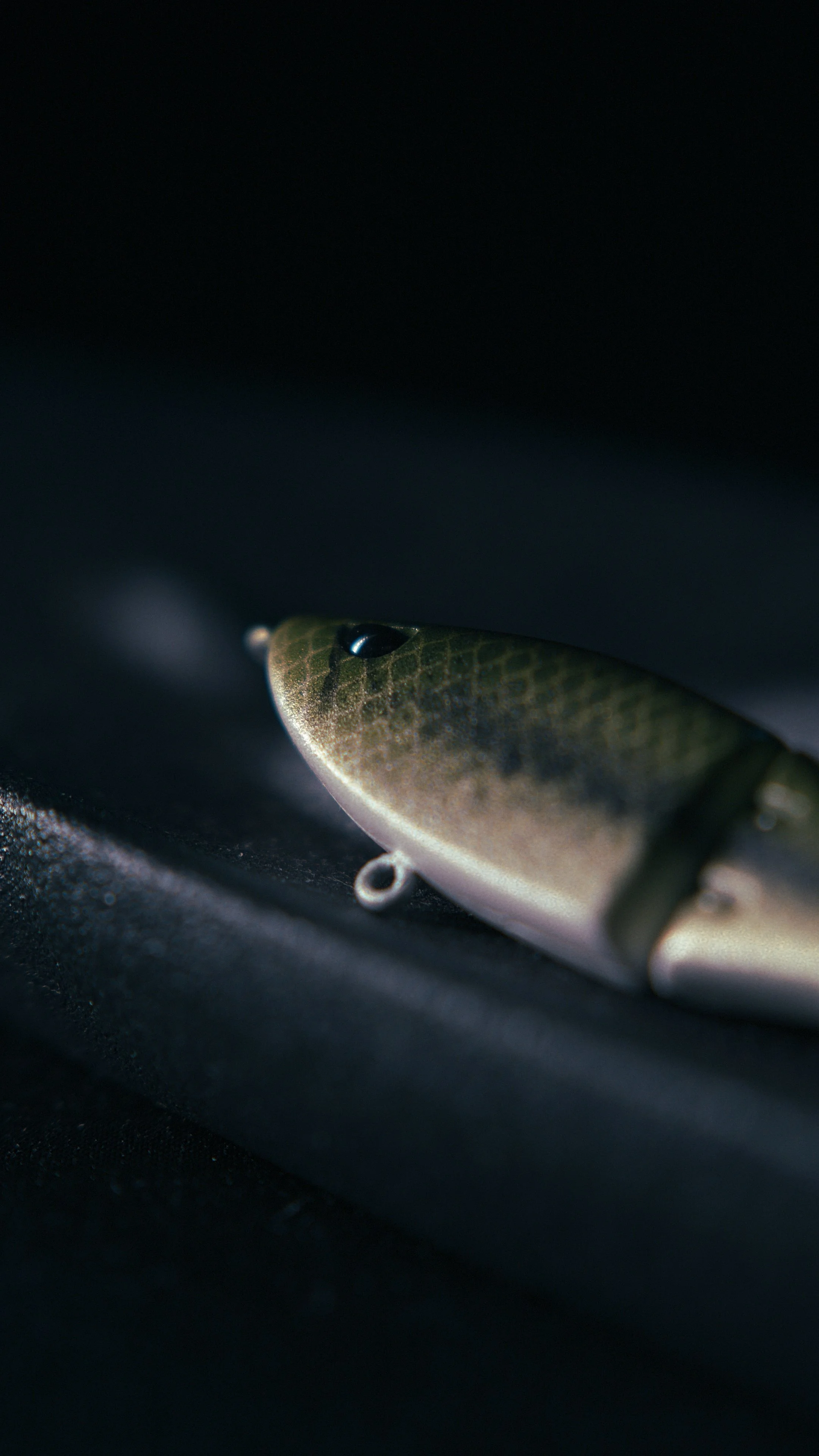 Still 2025-02-27 200526_2.3.1.jpg