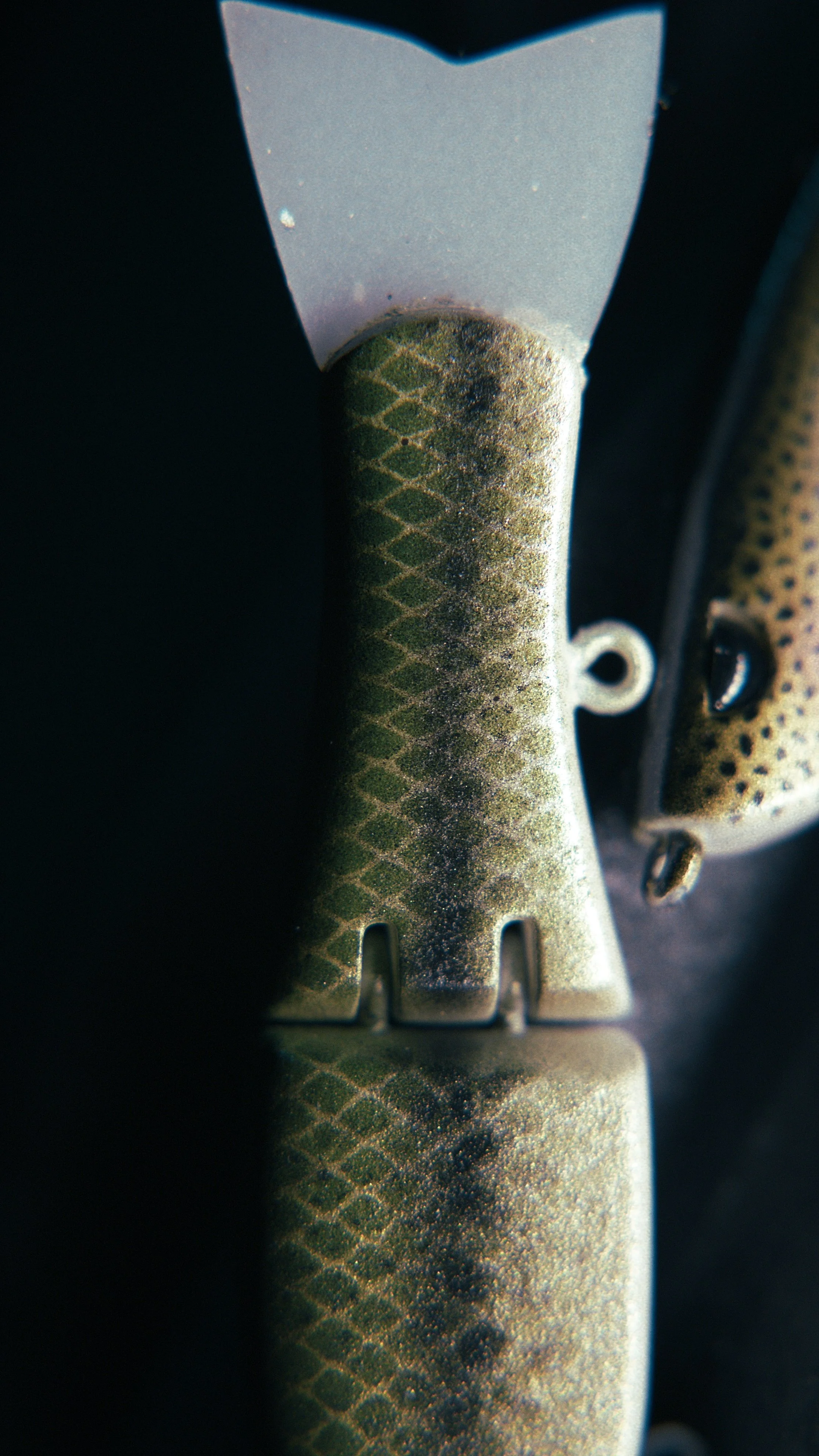 Still 2025-02-27 200526_2.7.1.jpg