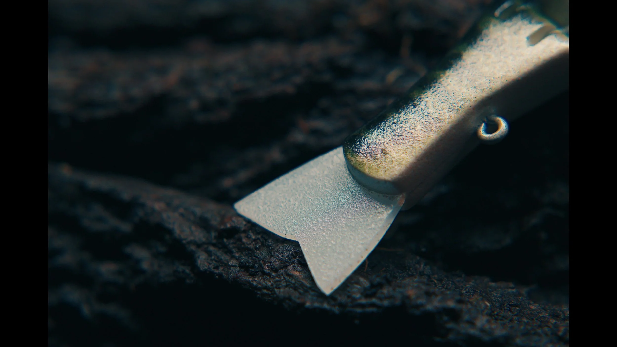 erabaits painted  photos00086664.jpg