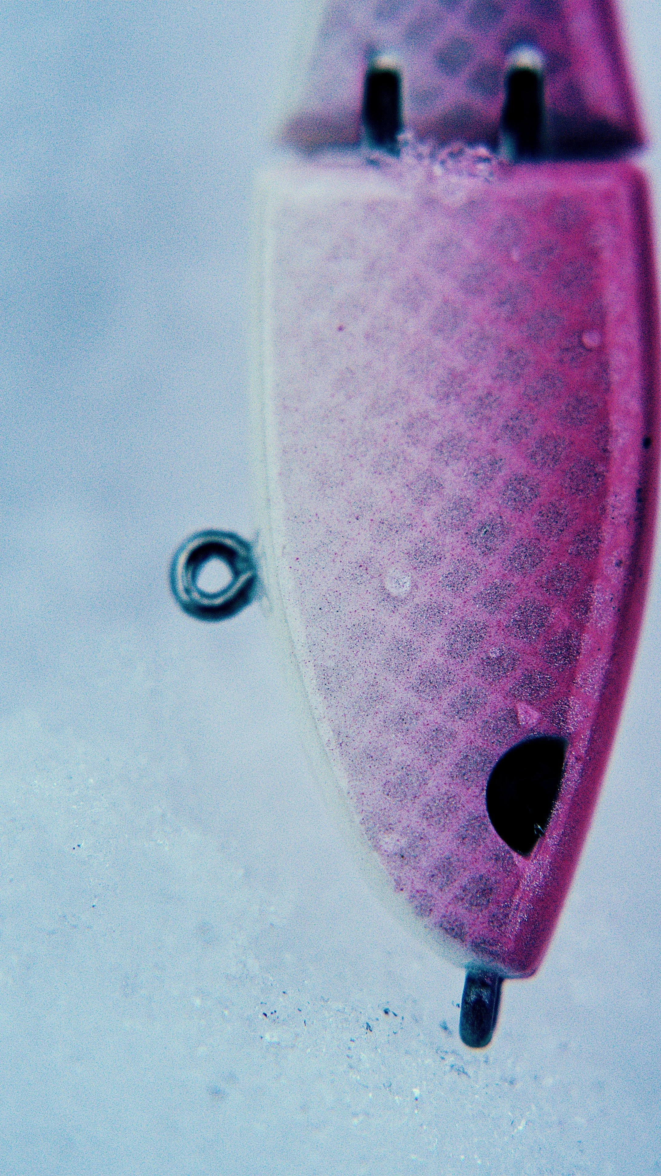 Still 2025-02-13 192234_2.19.1_1.jpg