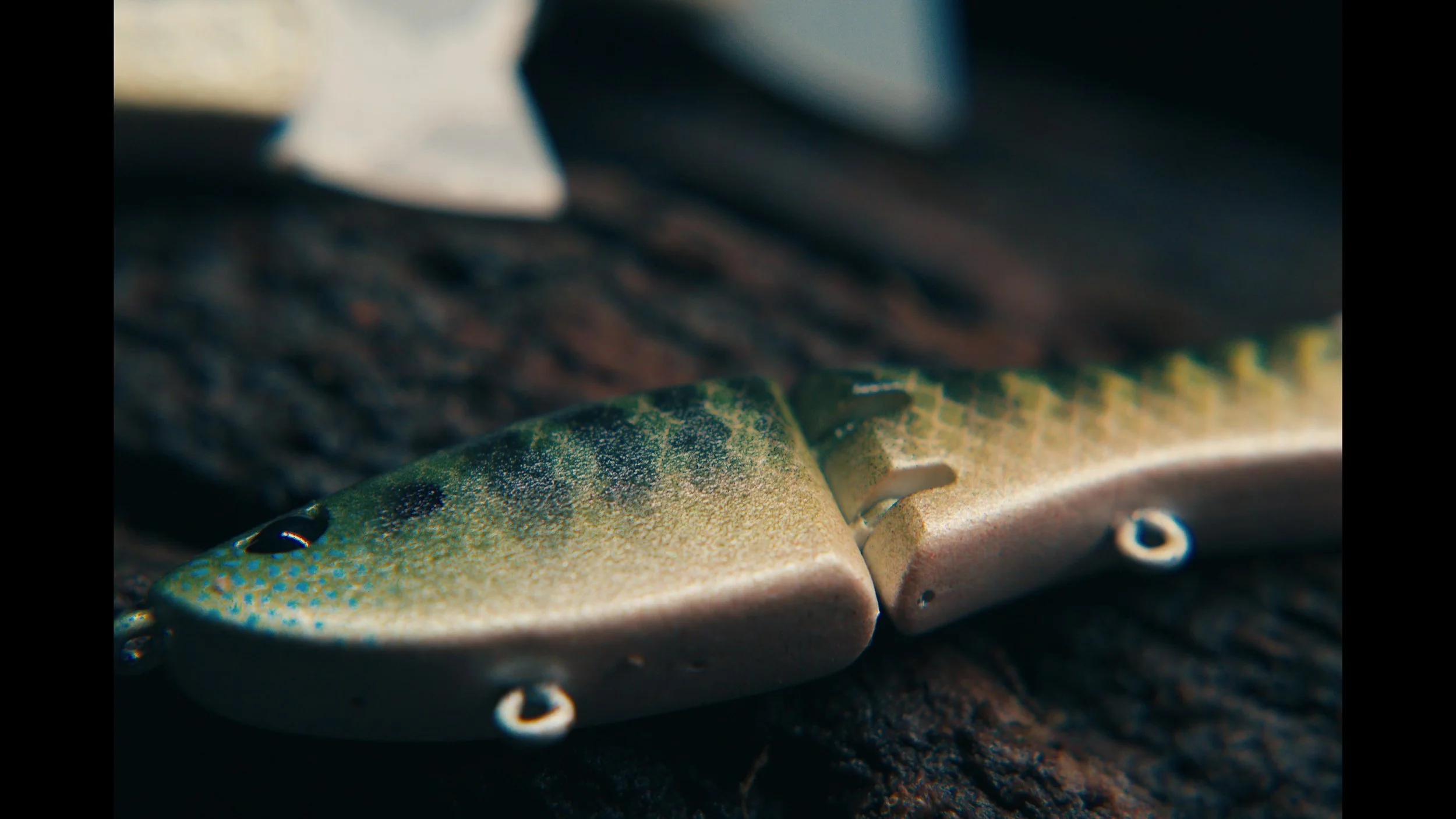 erabaits painted  photos00086655.jpg