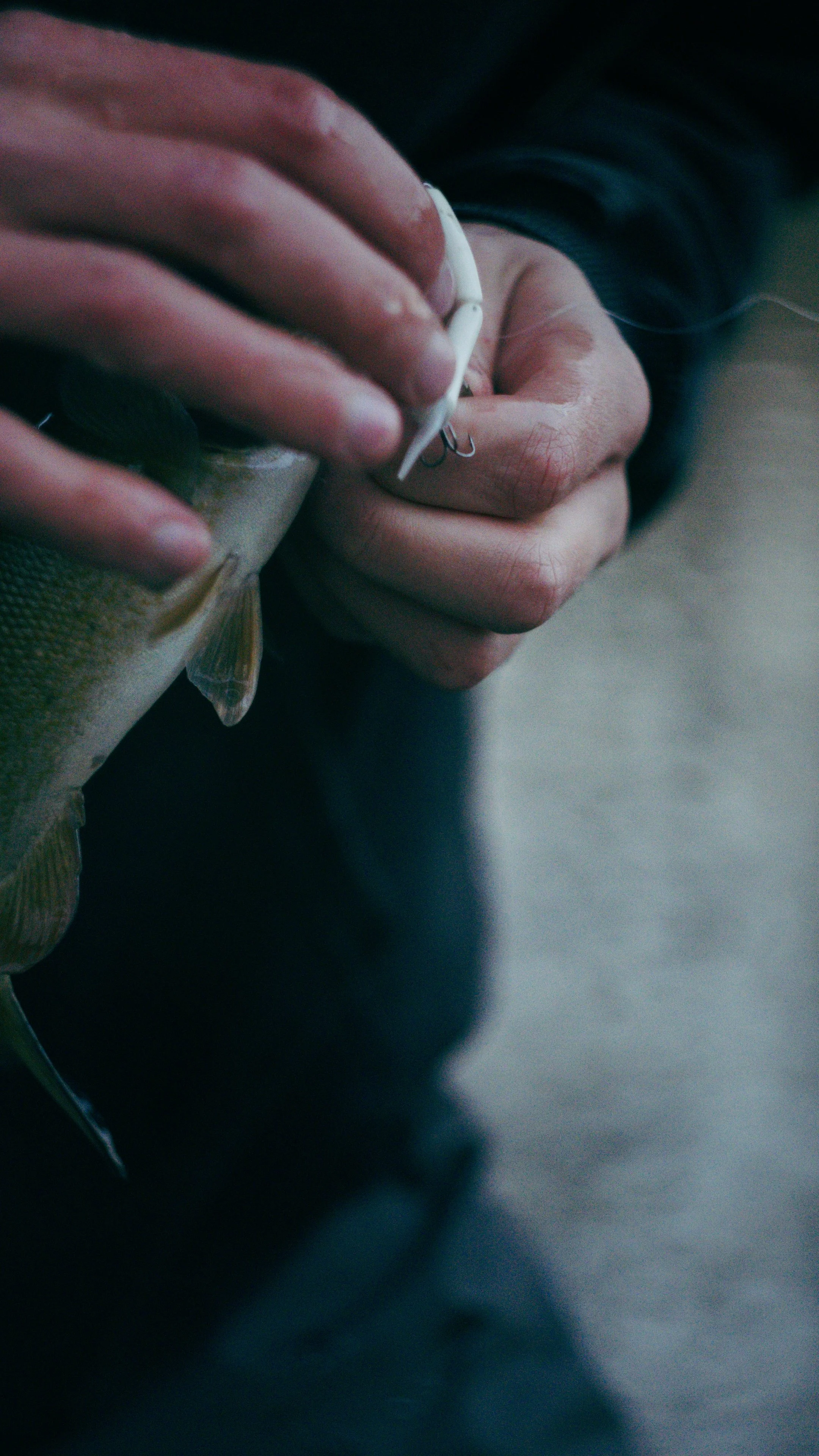 Still 2024-11-12 201606_2.4.1.jpg