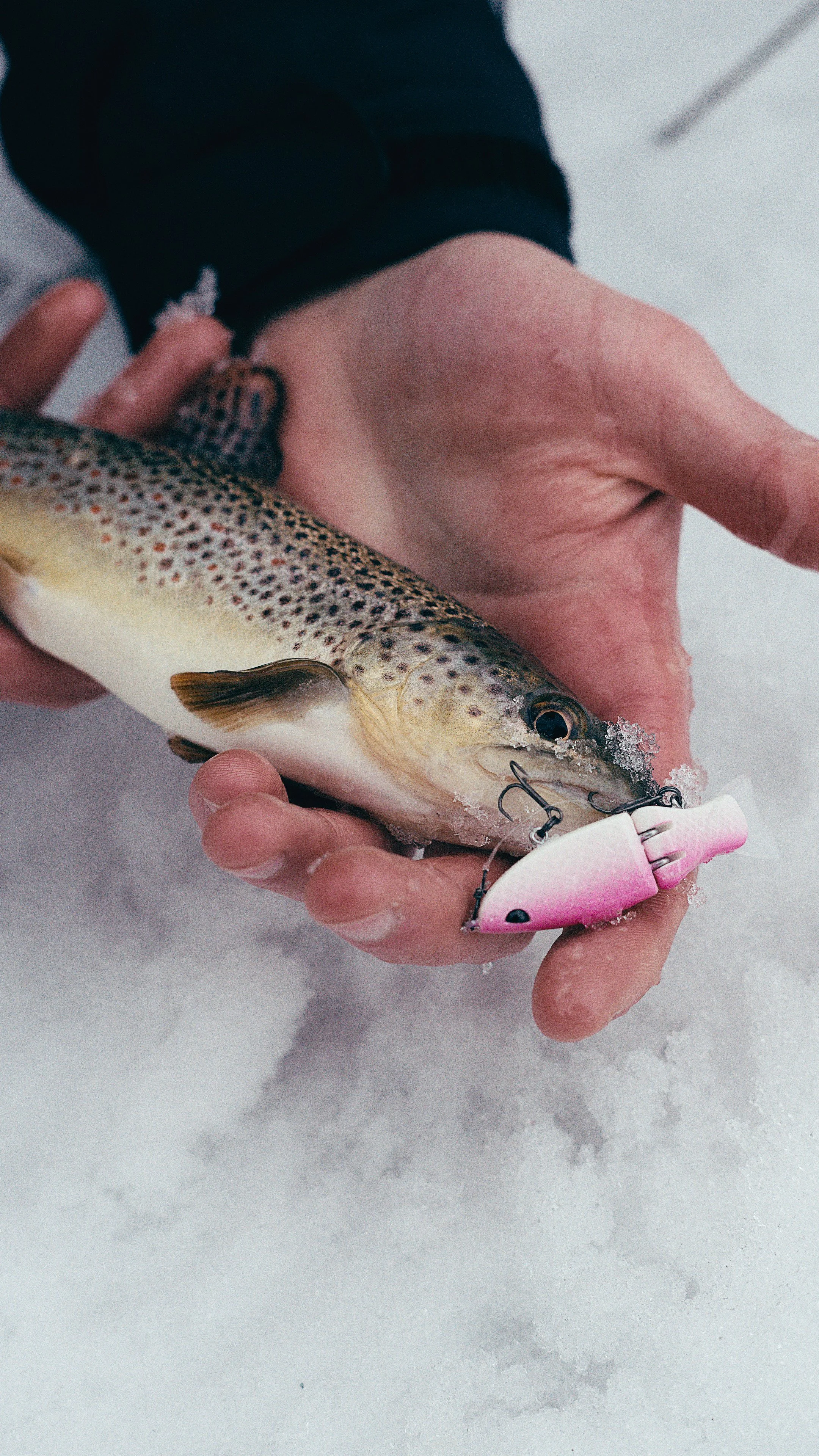 Still 2025-02-13 181133_2.10.1.jpg