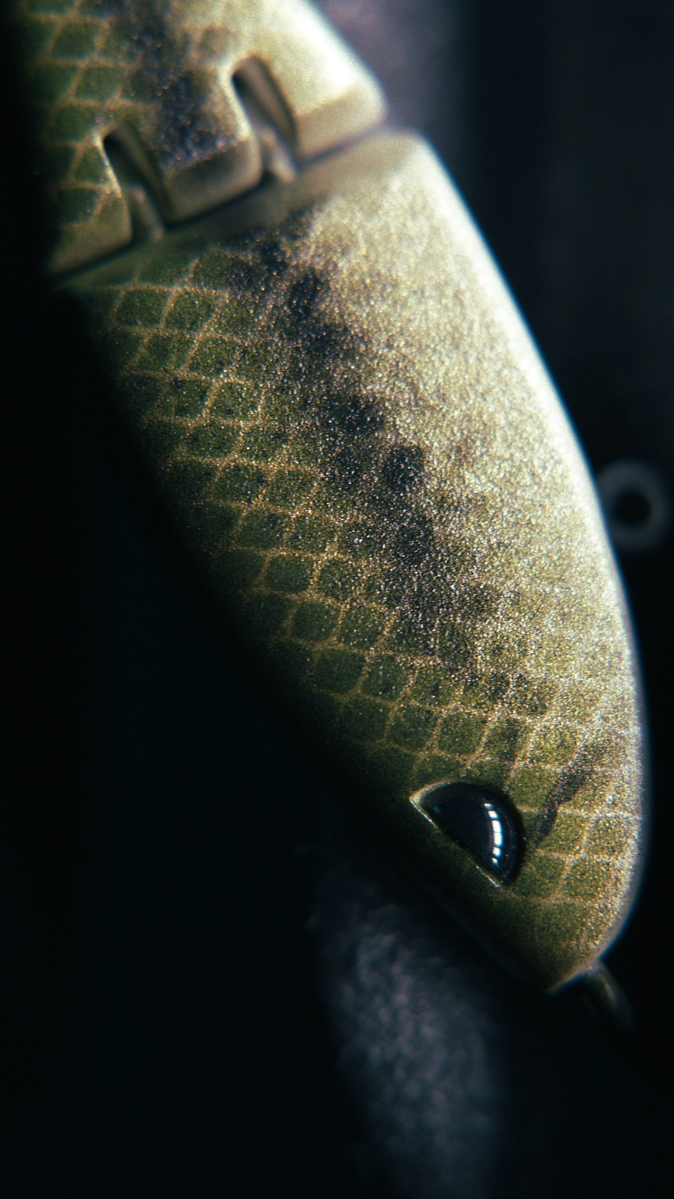 Still 2025-02-27 200526_2.9.1.jpg