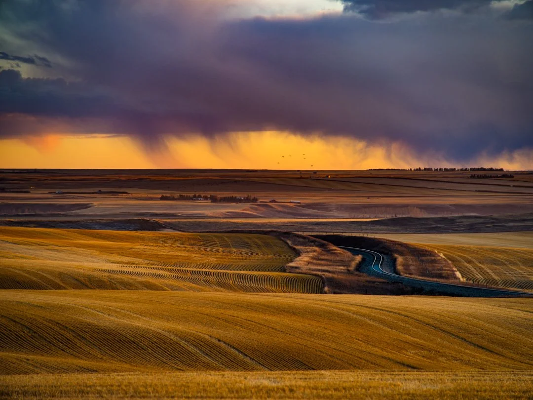 Open landscape with rolling golden fields and a winding road, under a dramatic sky with dark storm clouds and purple hues.