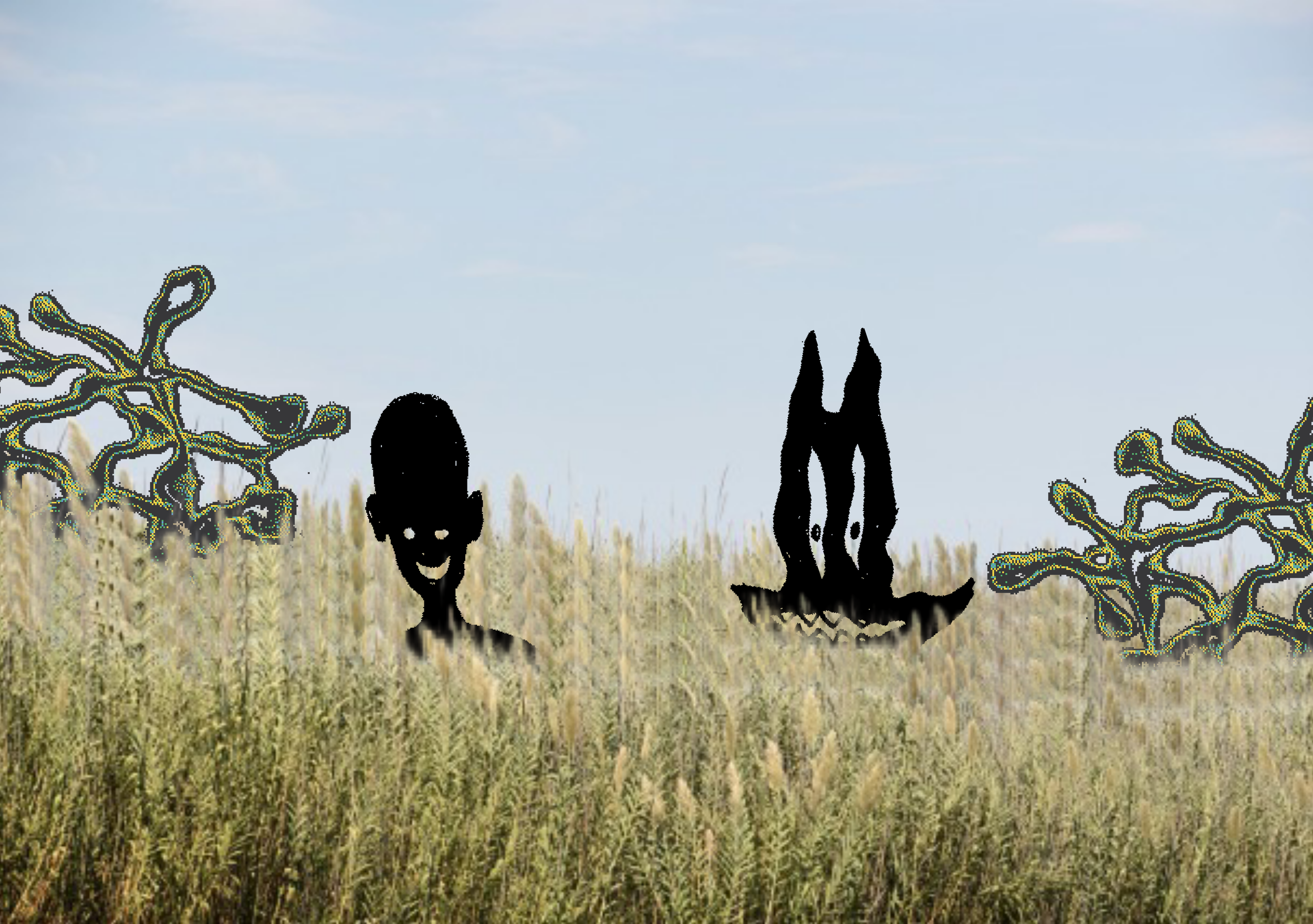 Griffin Oswald - Field .PNG