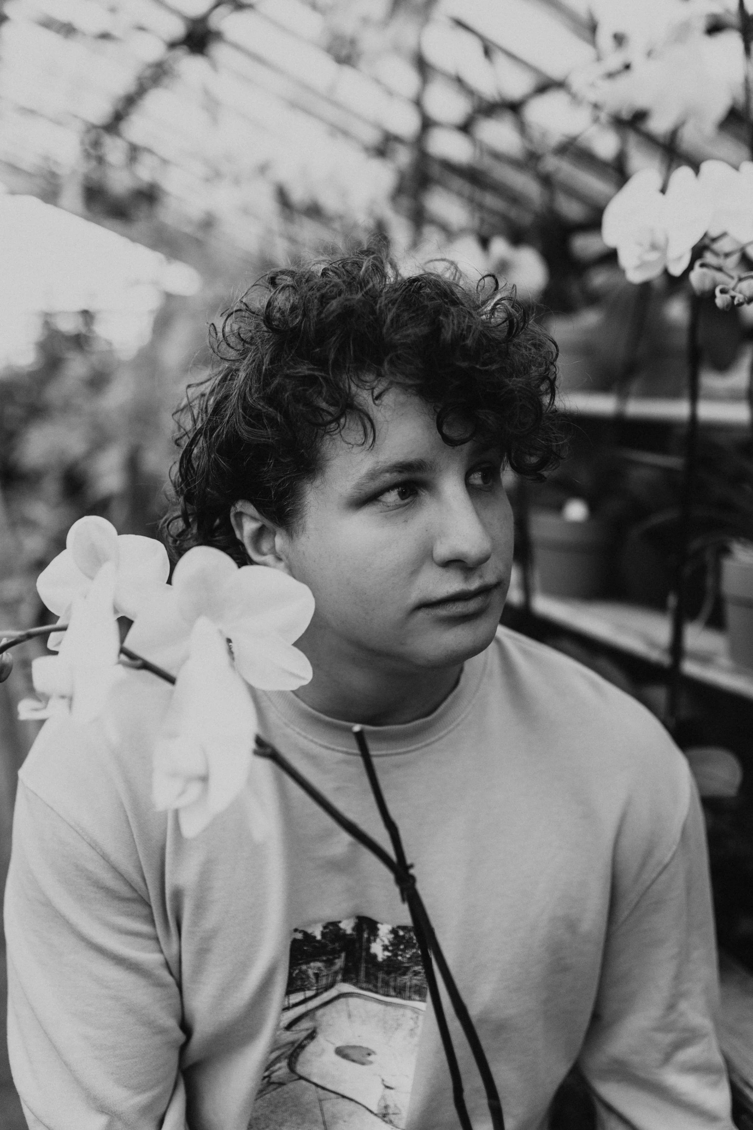 Griffin Oswald - A young person with curly hair looking to the side in a greenhouse with orchids and plant shelves in the background.