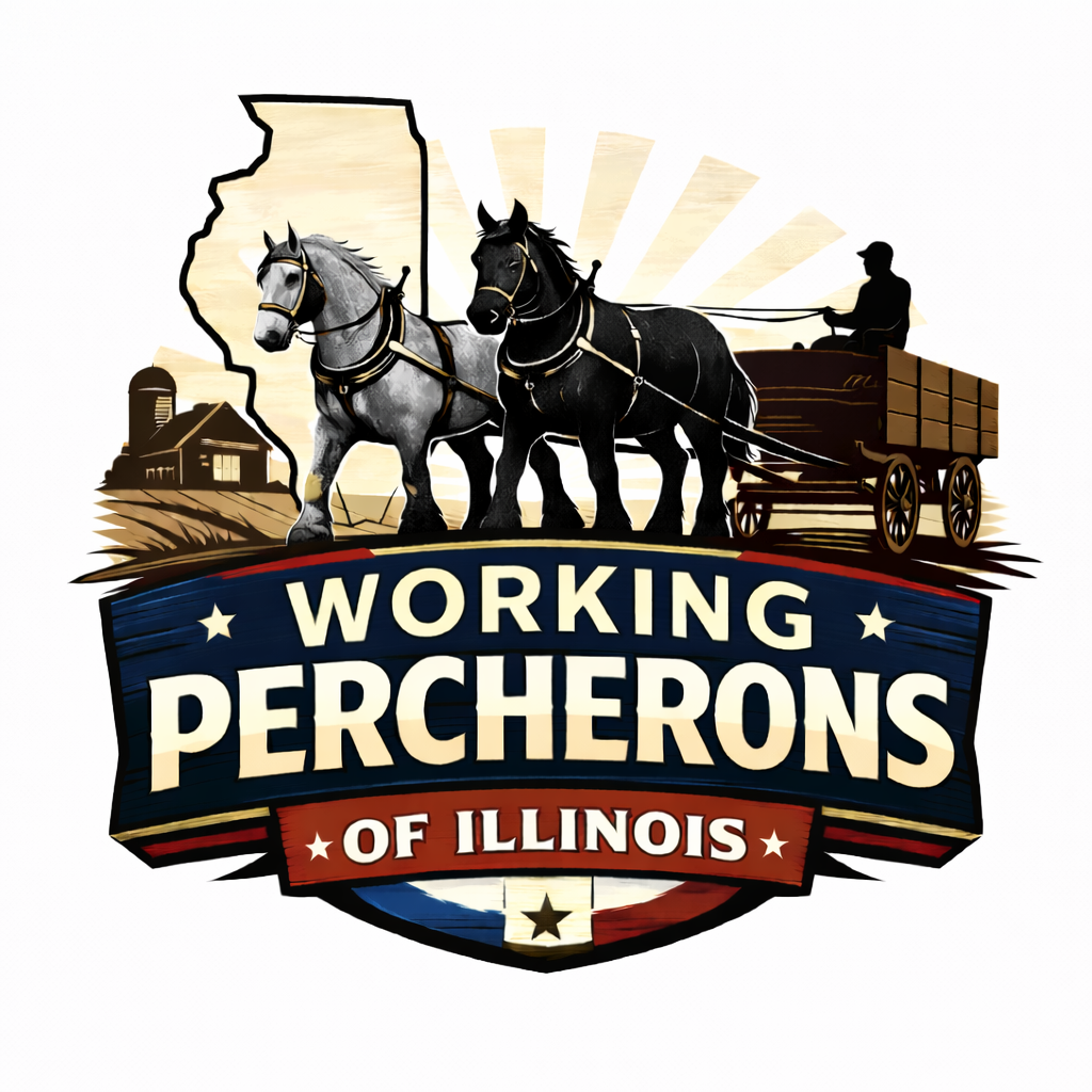 Working Percherons of Illinois