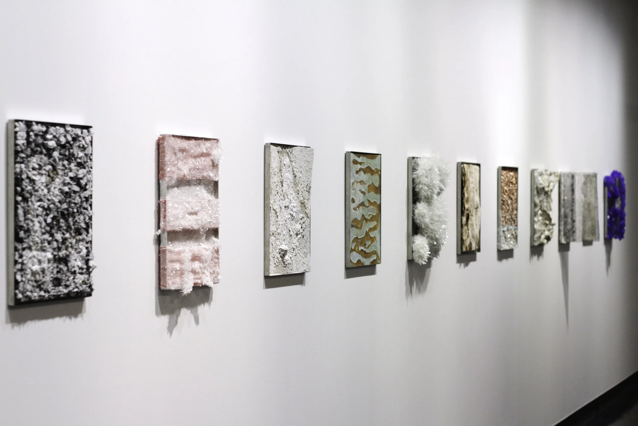 IMG_4710-Edit copy.jpg