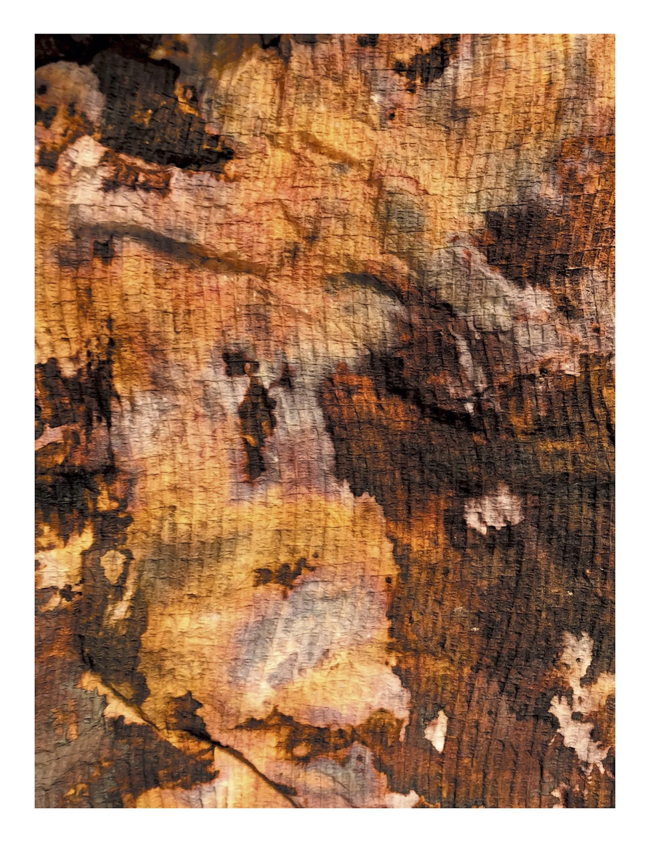 Noah Spivak_Silvered Paper Towel_5 .jpg