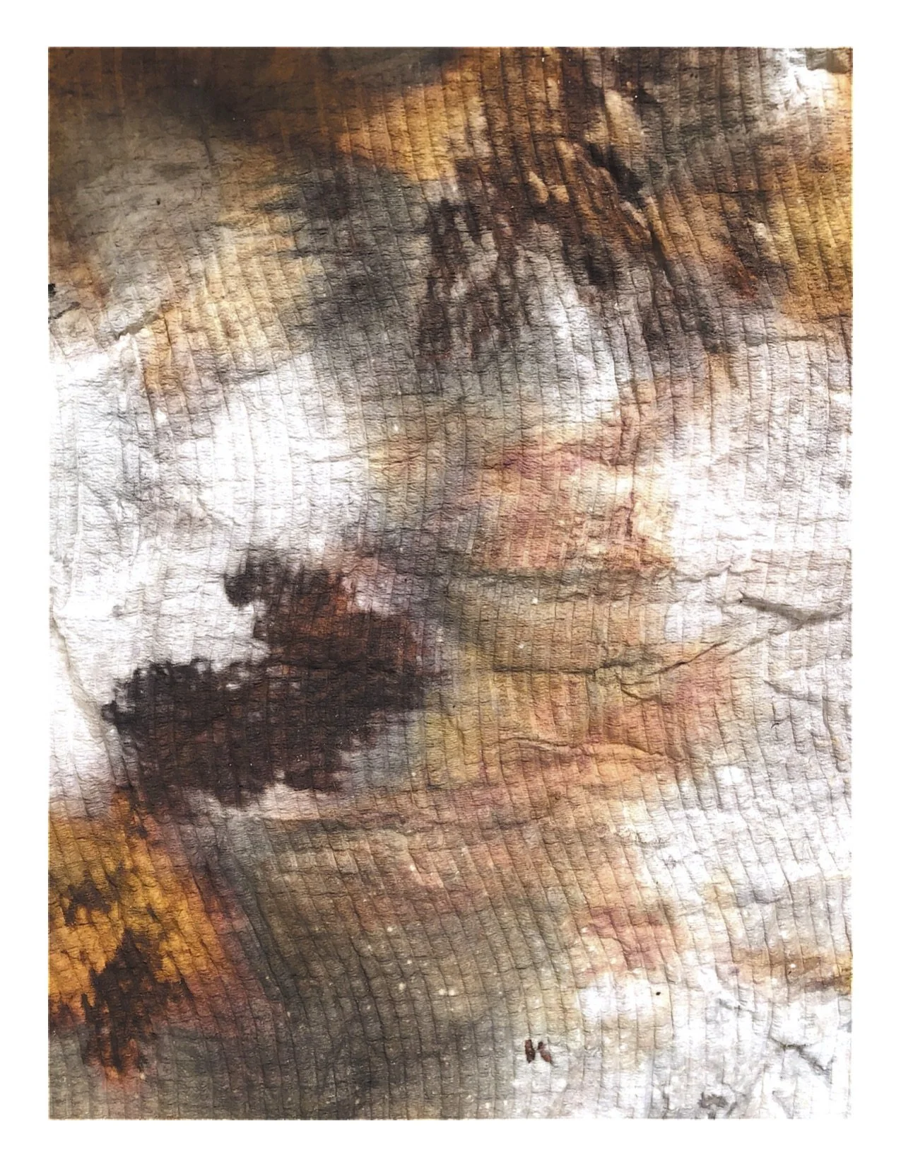 Silvered PaperTowel 3.jpg